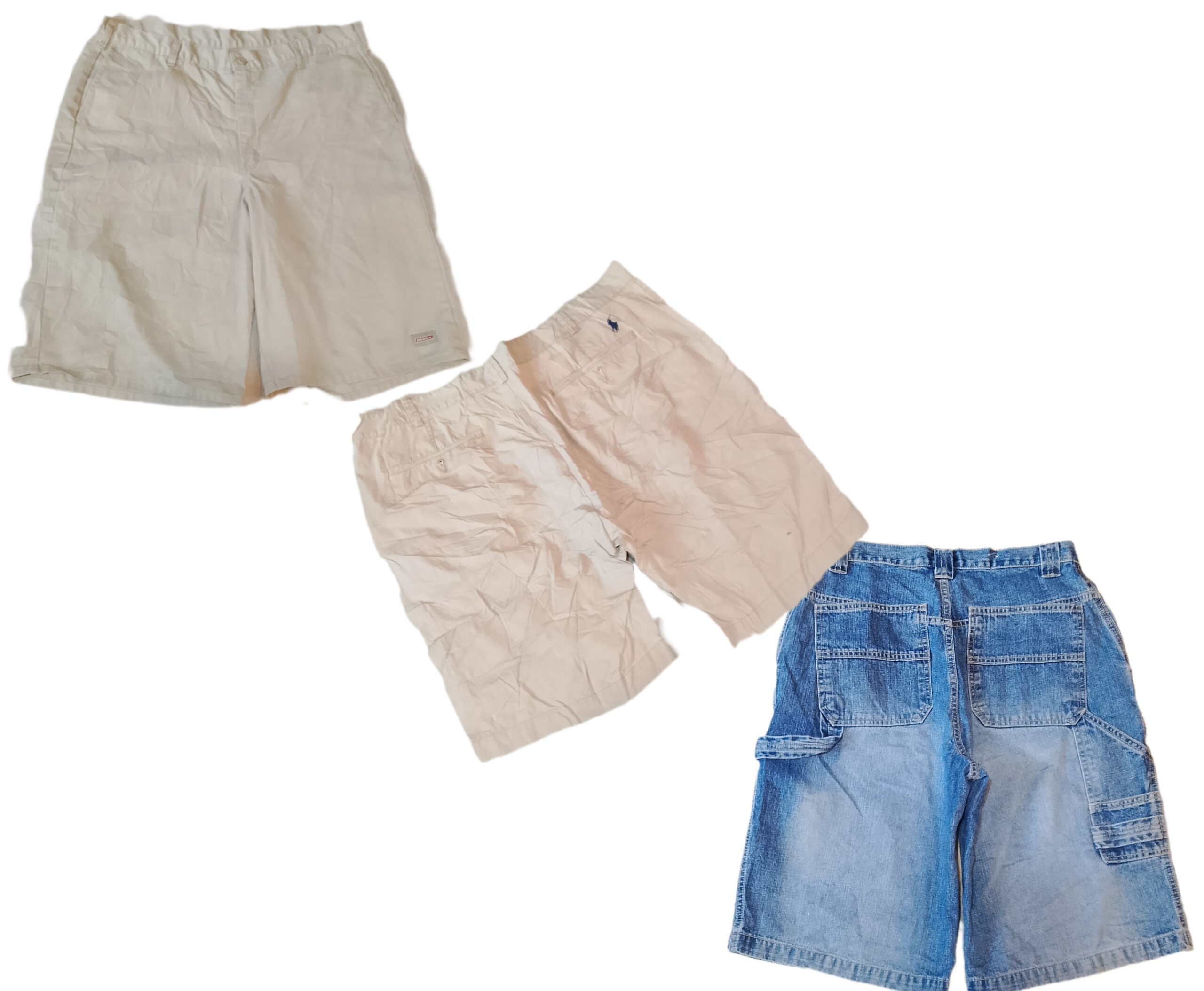 Shorts Polo Dickies Carpenter