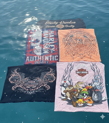 Camisetas e regatas Harley Davidson (15)