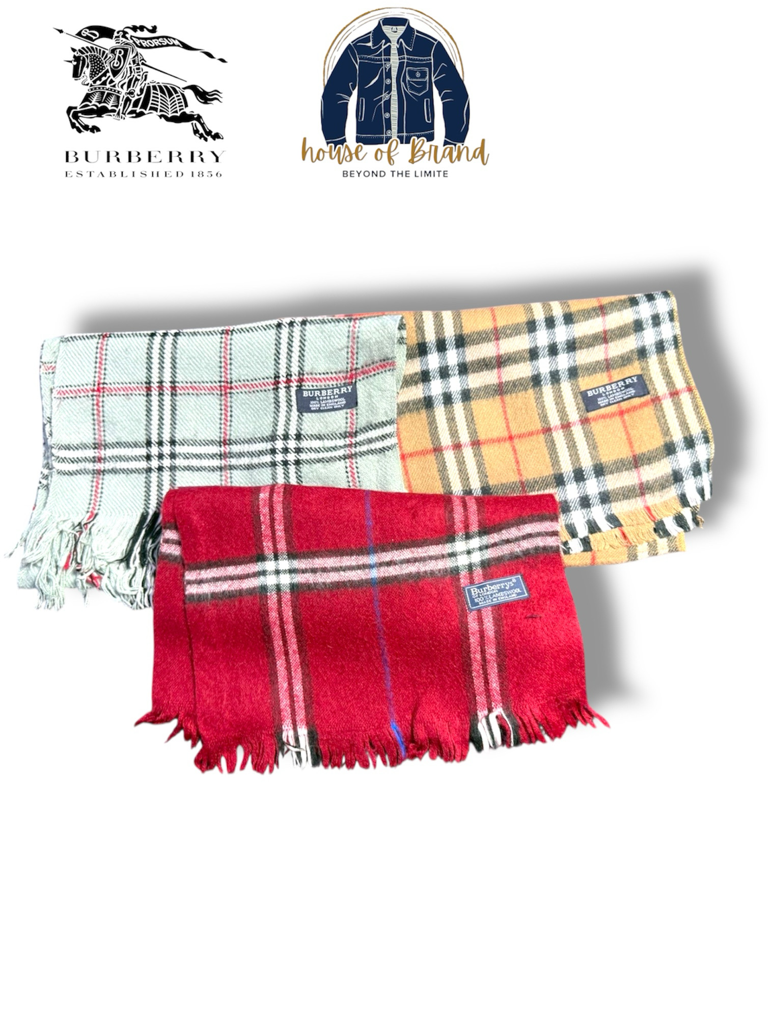 Burberry Scarves