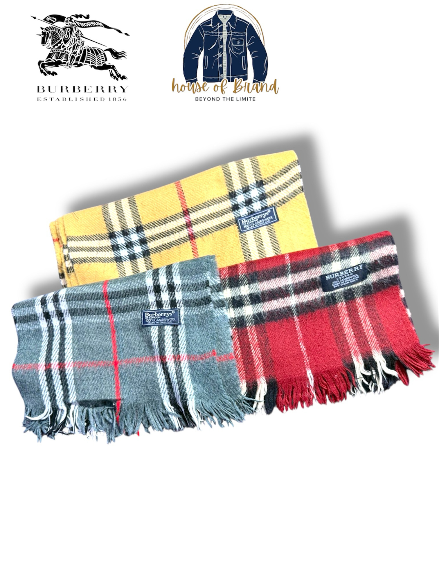 Burberry Scarves