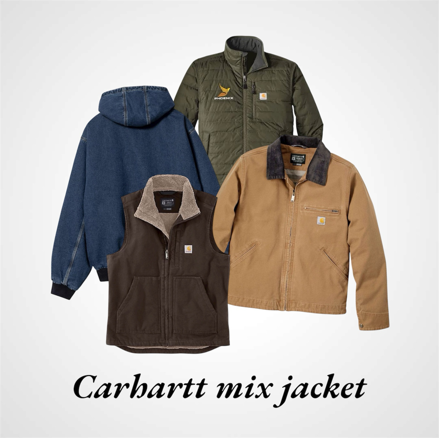 Giubbotti Mix Carhartt