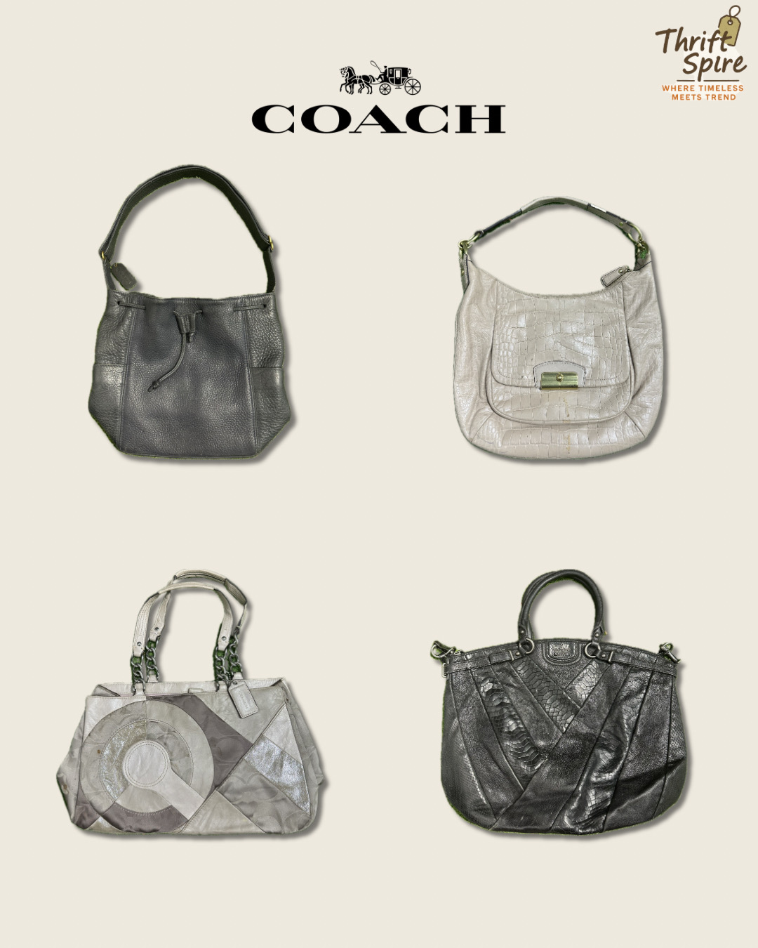 Coach Bags - (TS-0246)