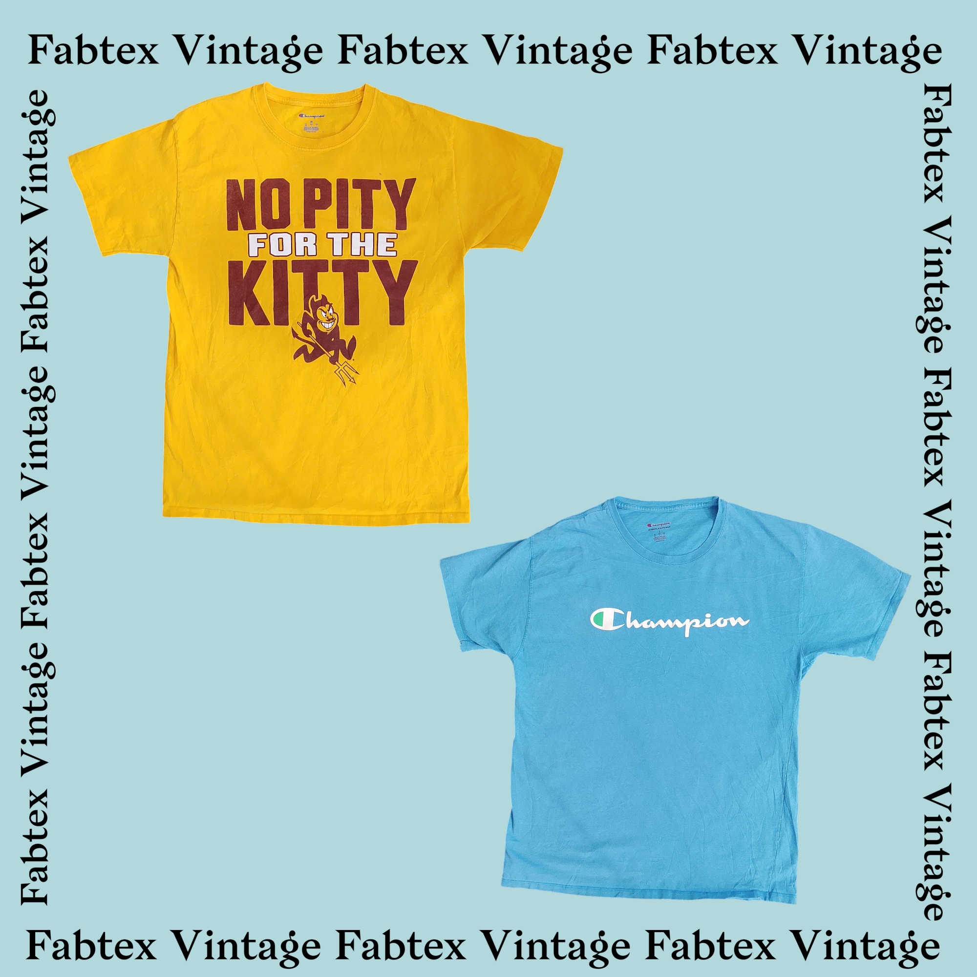 (FV-322) Champion Long sleeve t-shirt