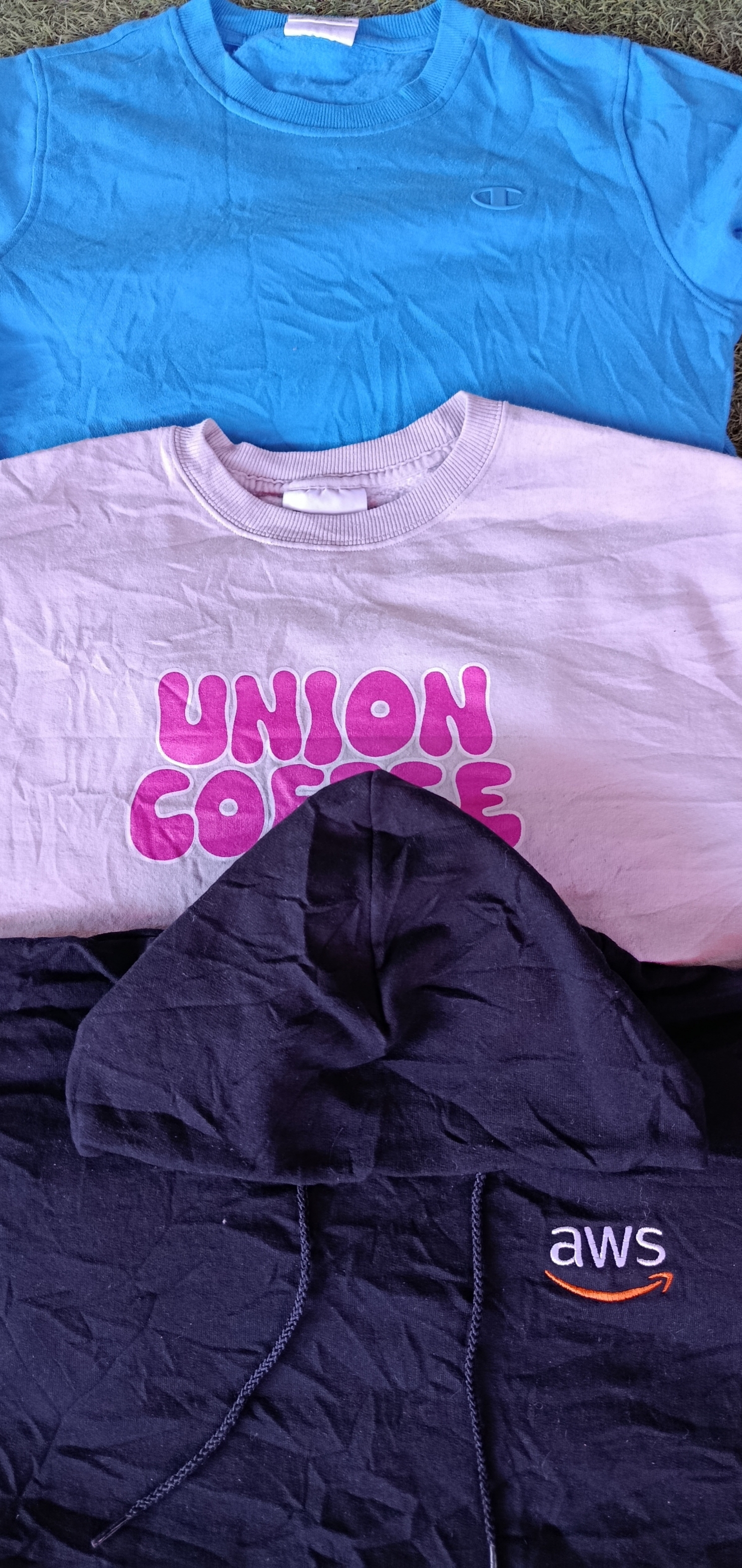 Hoodies/sweatshirt Champion (2729)