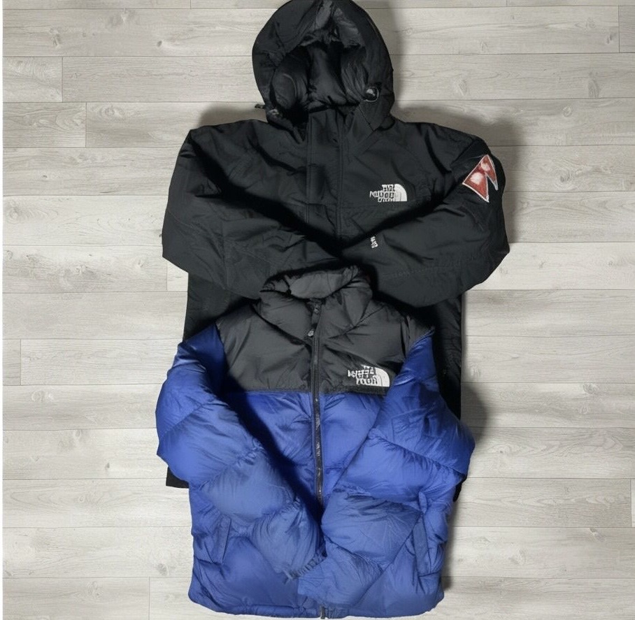 Chaqueta acolchada Premium The North Face (FF 1097)