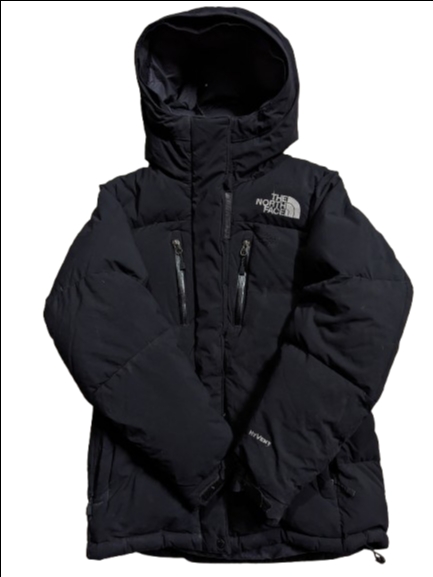 The North Face Puffer Jackets