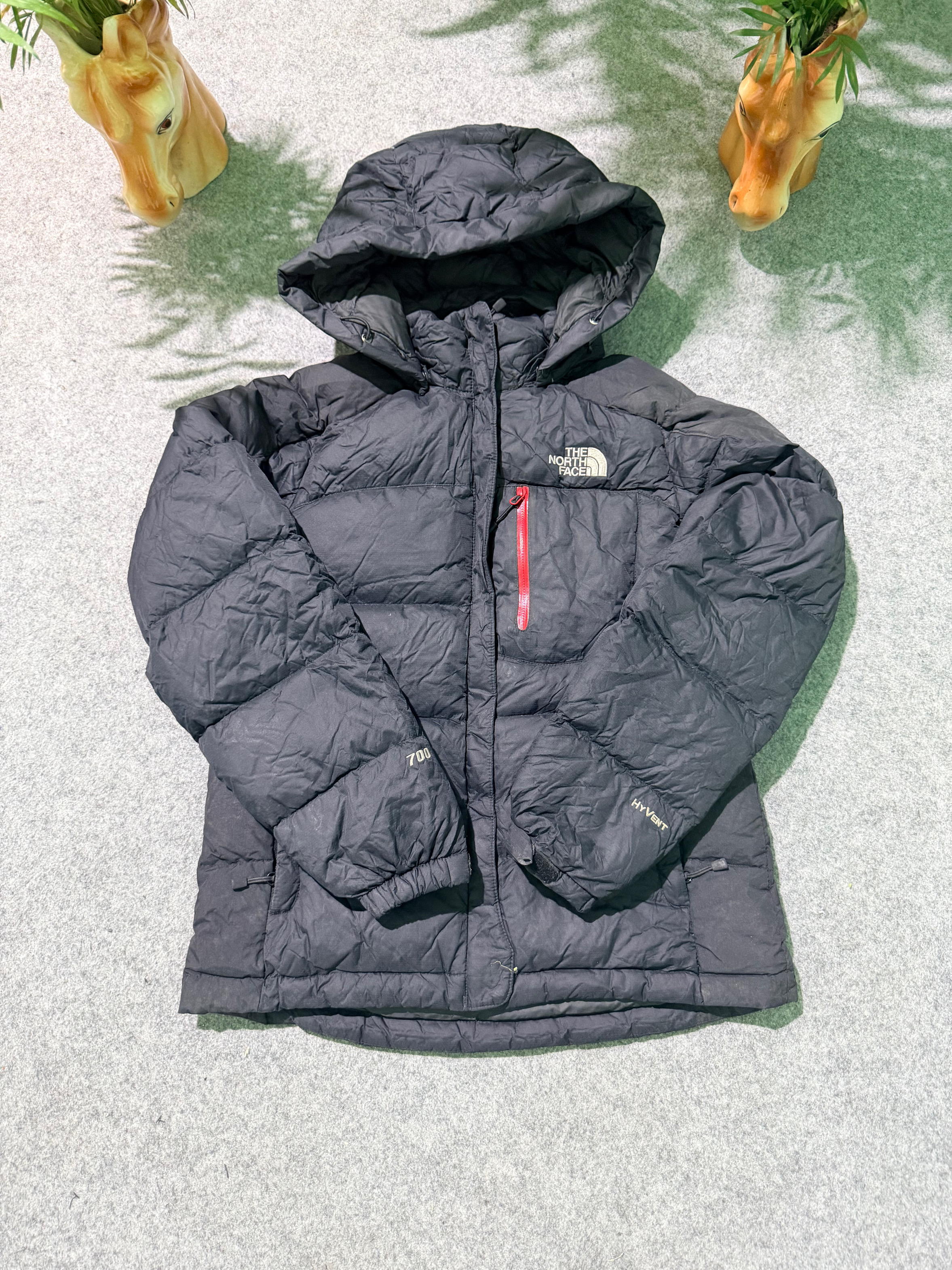 The North Face puffer serie 700