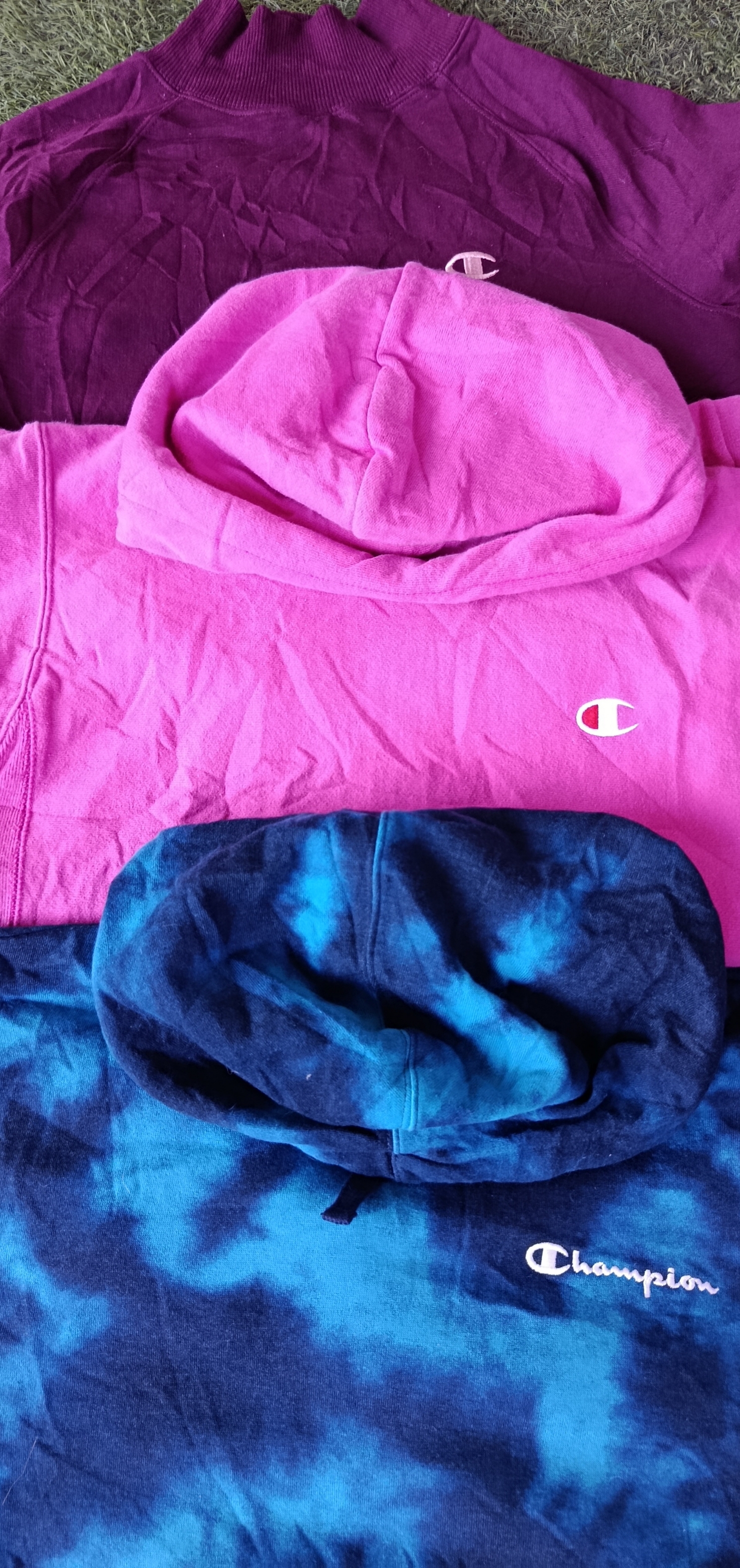 Champion hoodies/sweatshirt 10Pcs (2806)