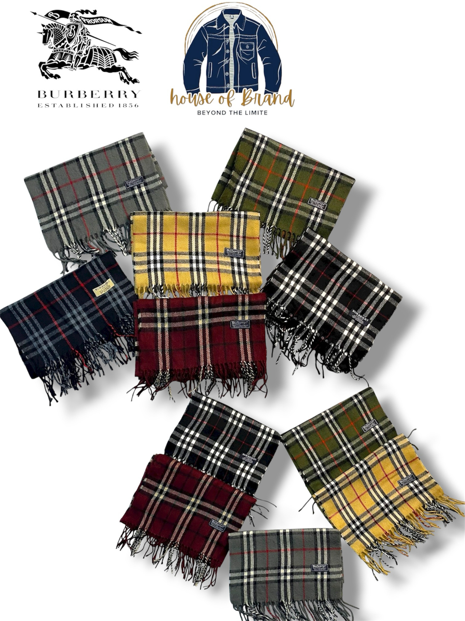 Burberry Scarves