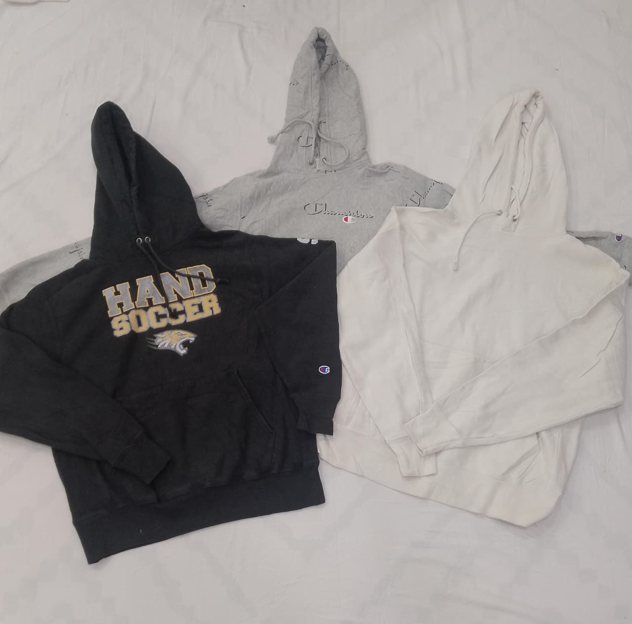 ZV0653 Champion Reverse Weave Hoodie