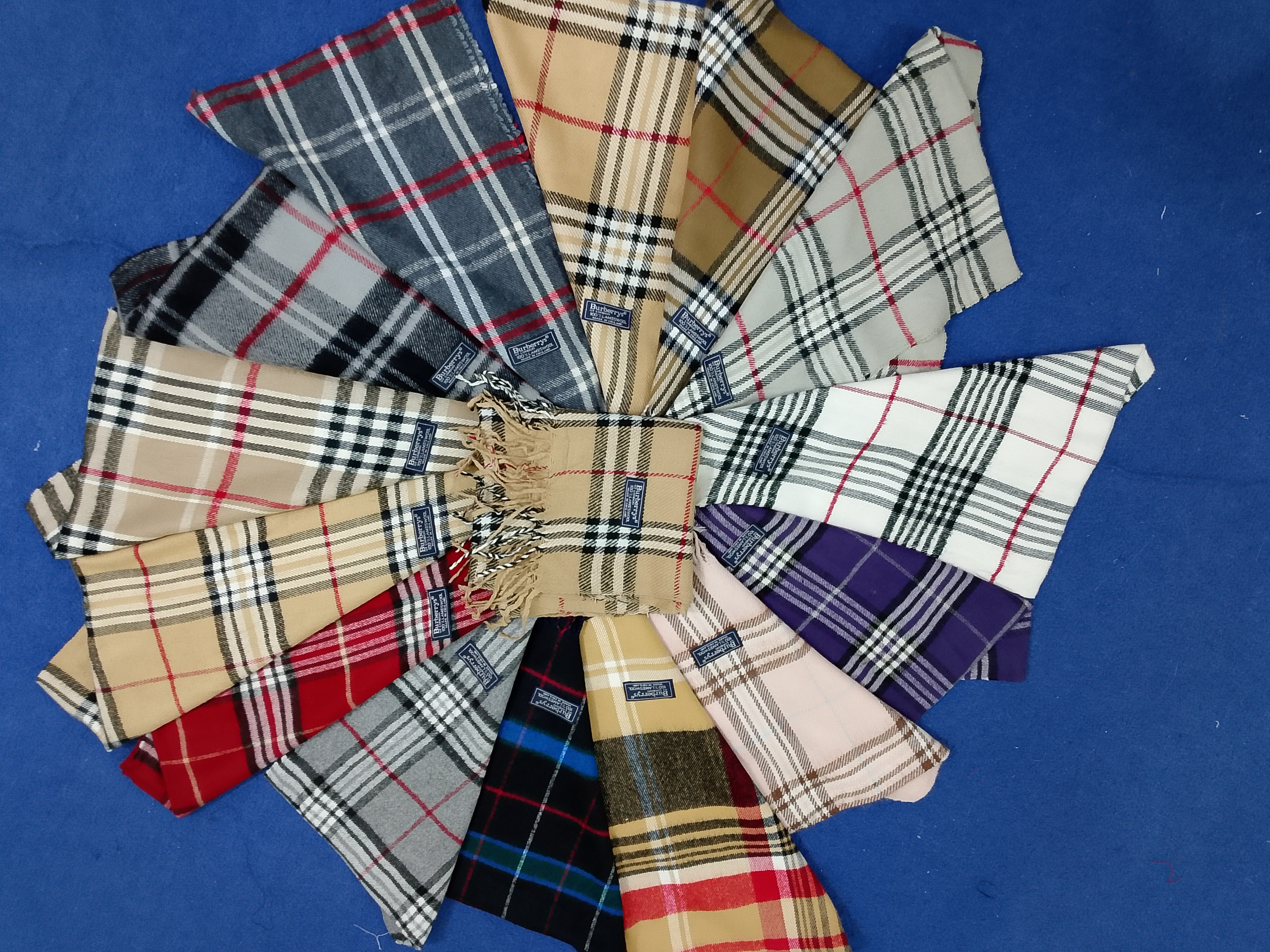 Burberry Scarves