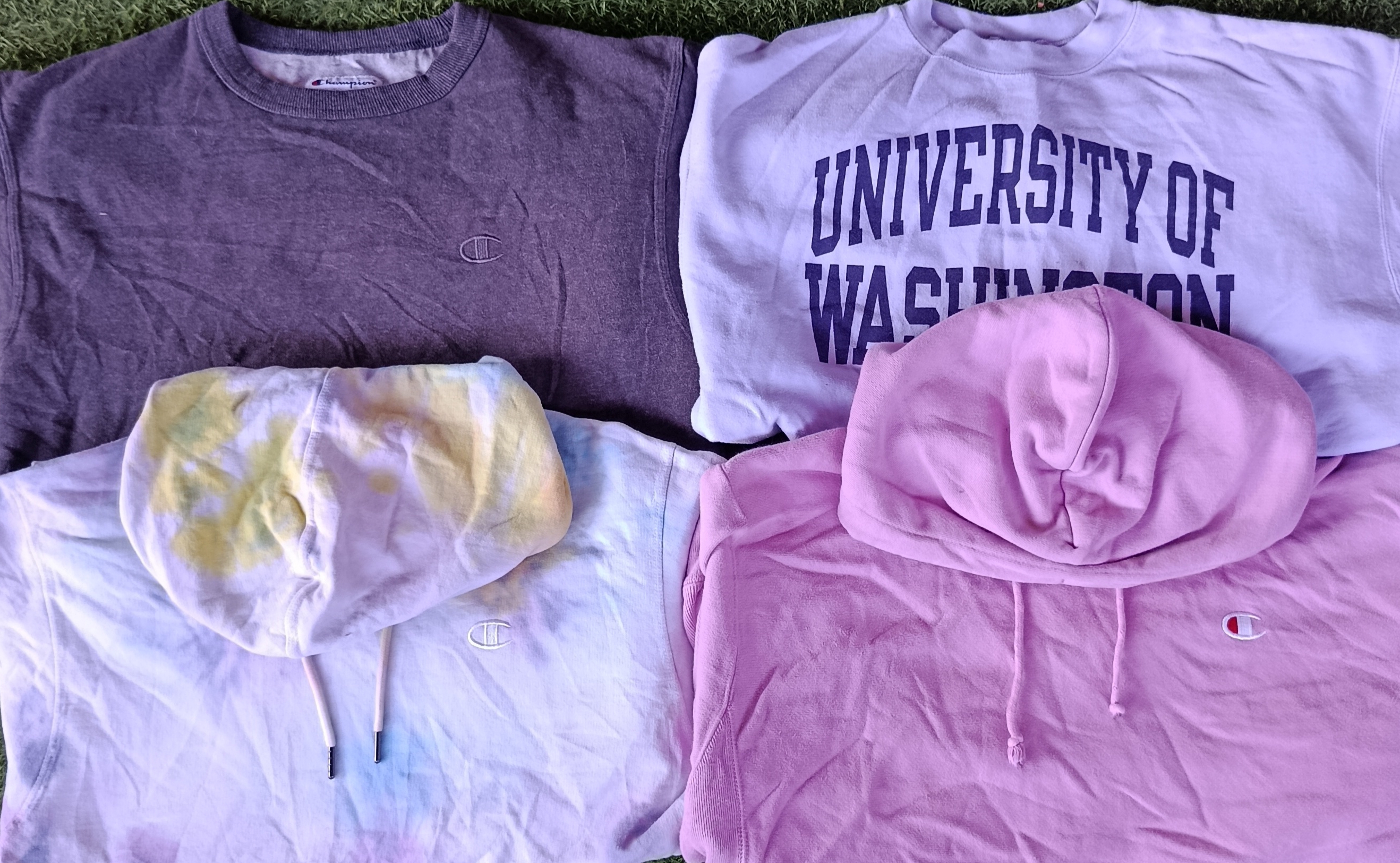 チャンピオン フーディー/スウェットシャツ 10枚 (3002)