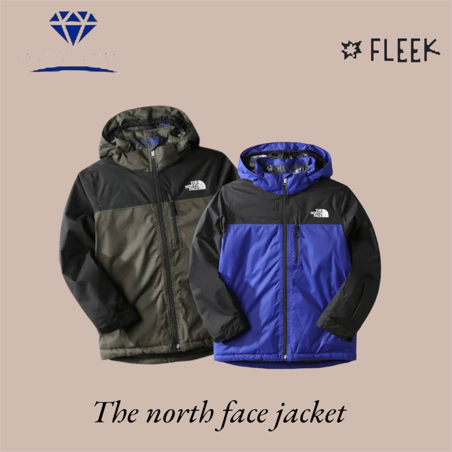 Die North Face Jacken (DV -11-102)