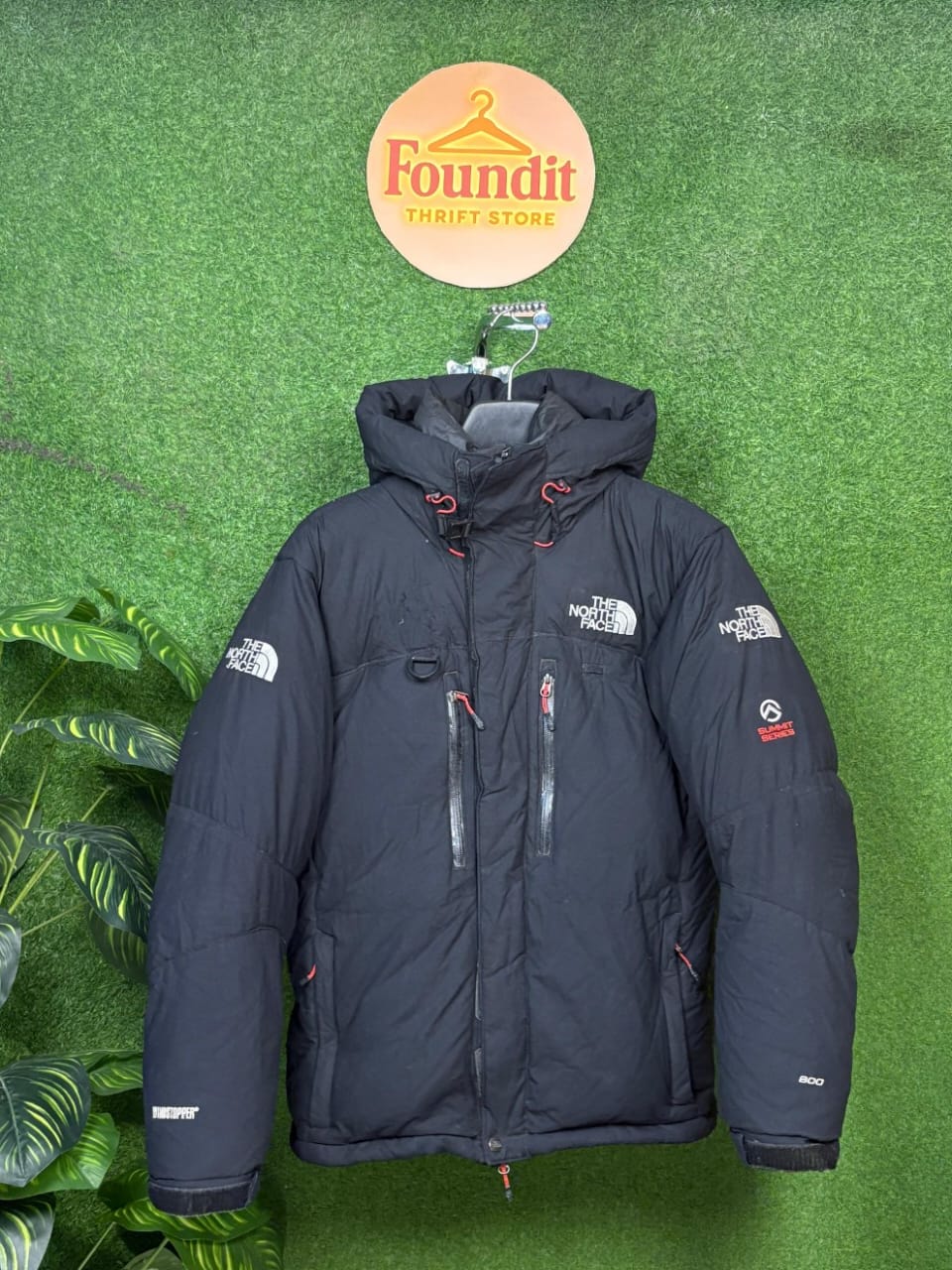 North Face Puffer | 700–800 Series Included | Mixed With Other Series | F-208