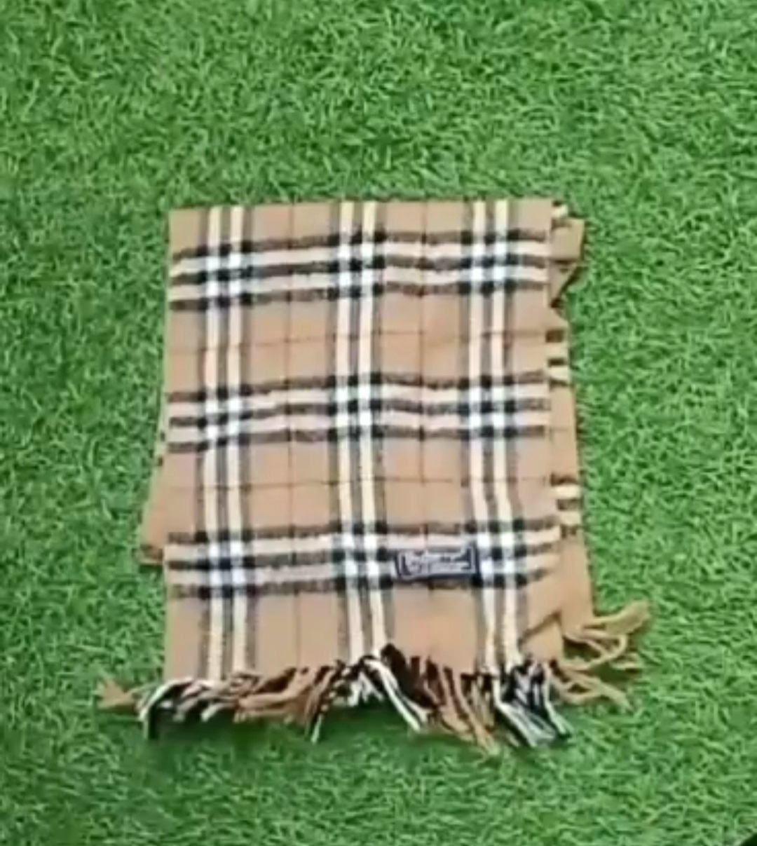 Burberry Scarves # 003