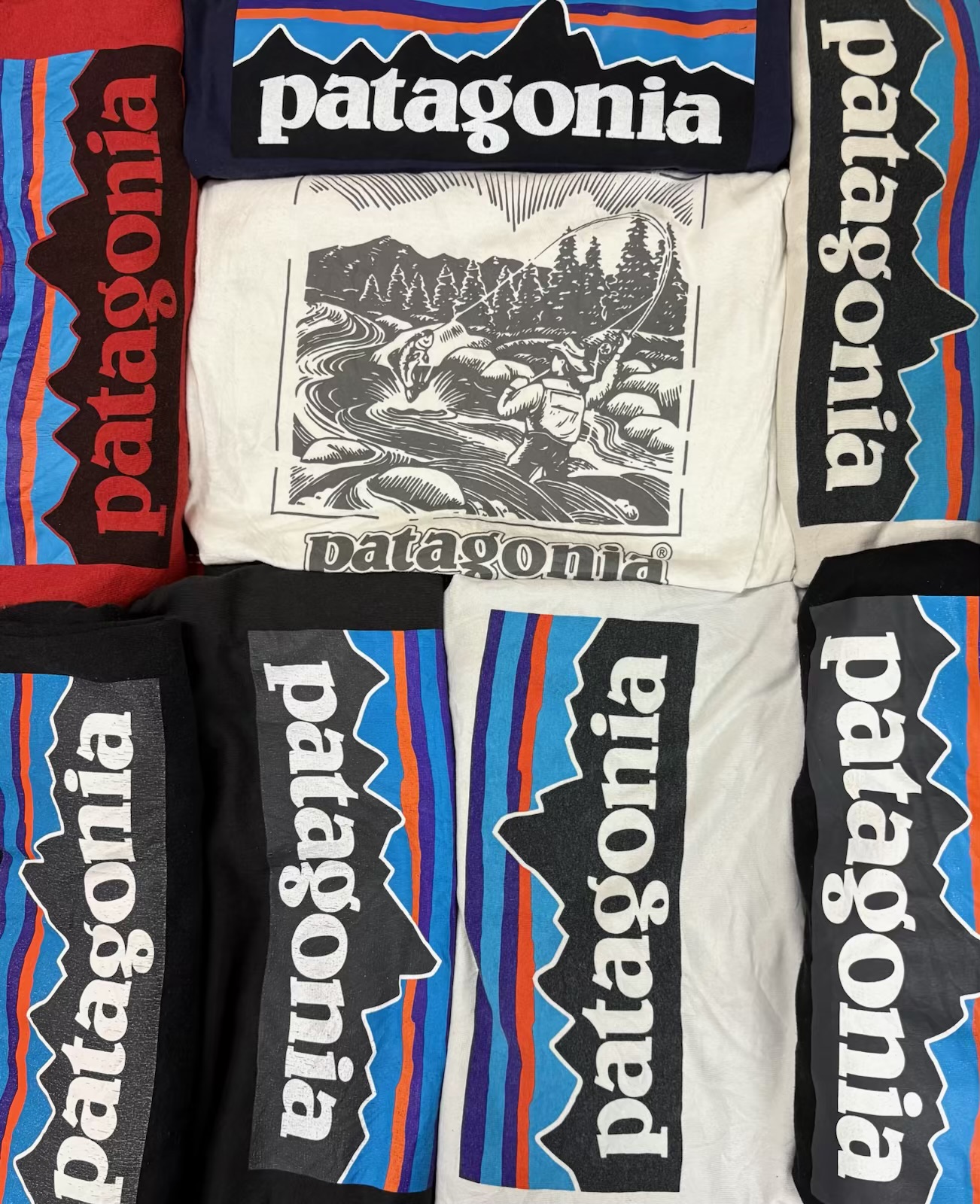 「プレミアム パタゴニア Tシャツ」