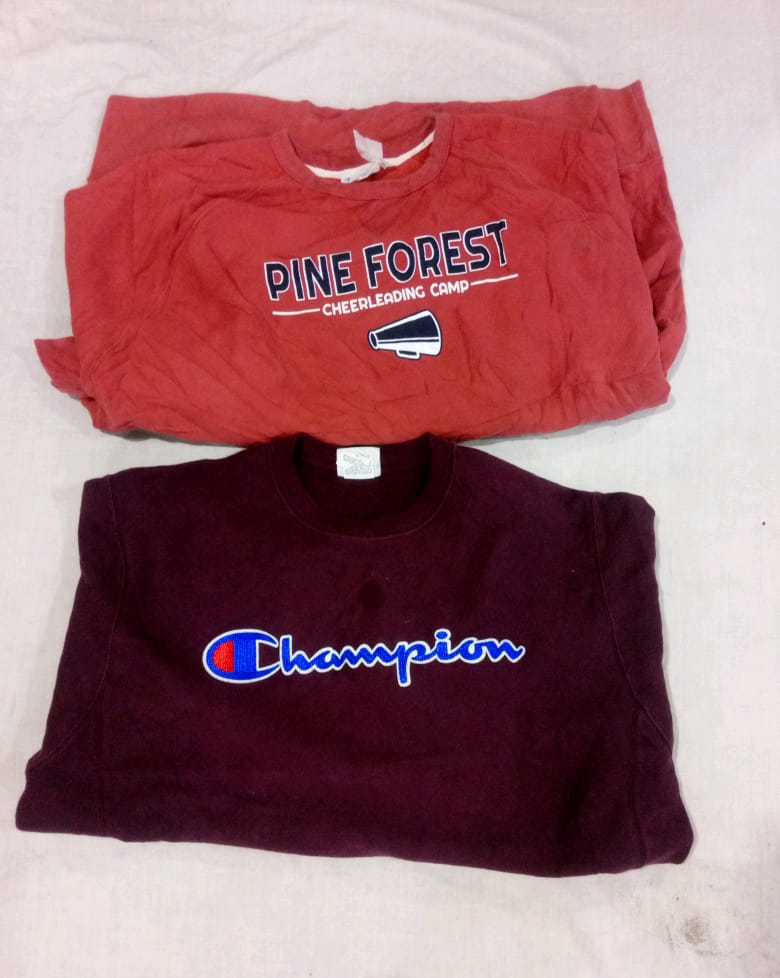 Champion Sweatshirt & Hoodies