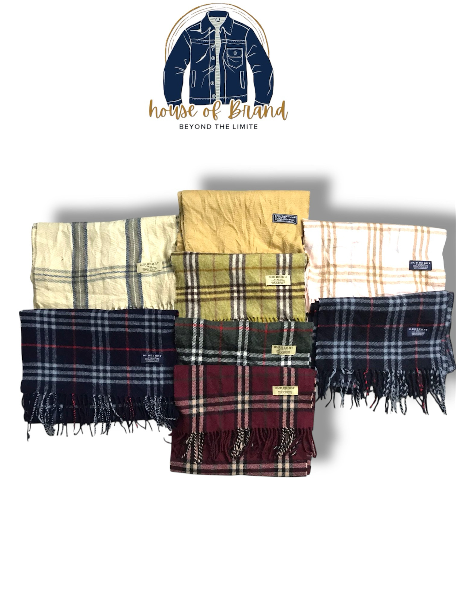 Burberry Scarves
