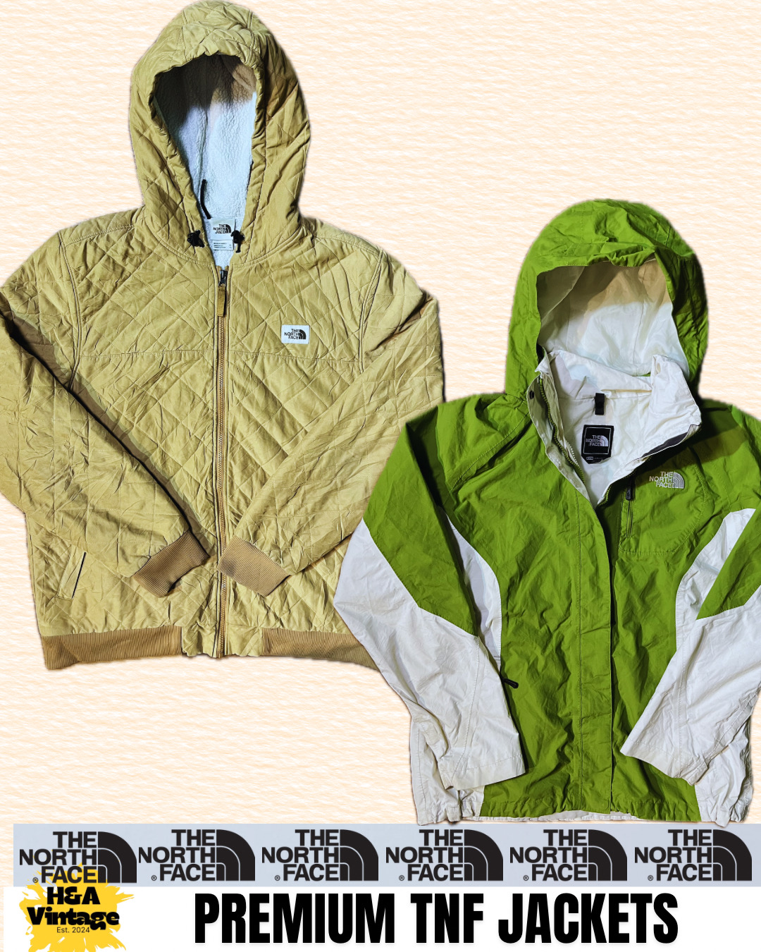 Vestes TNF Premium