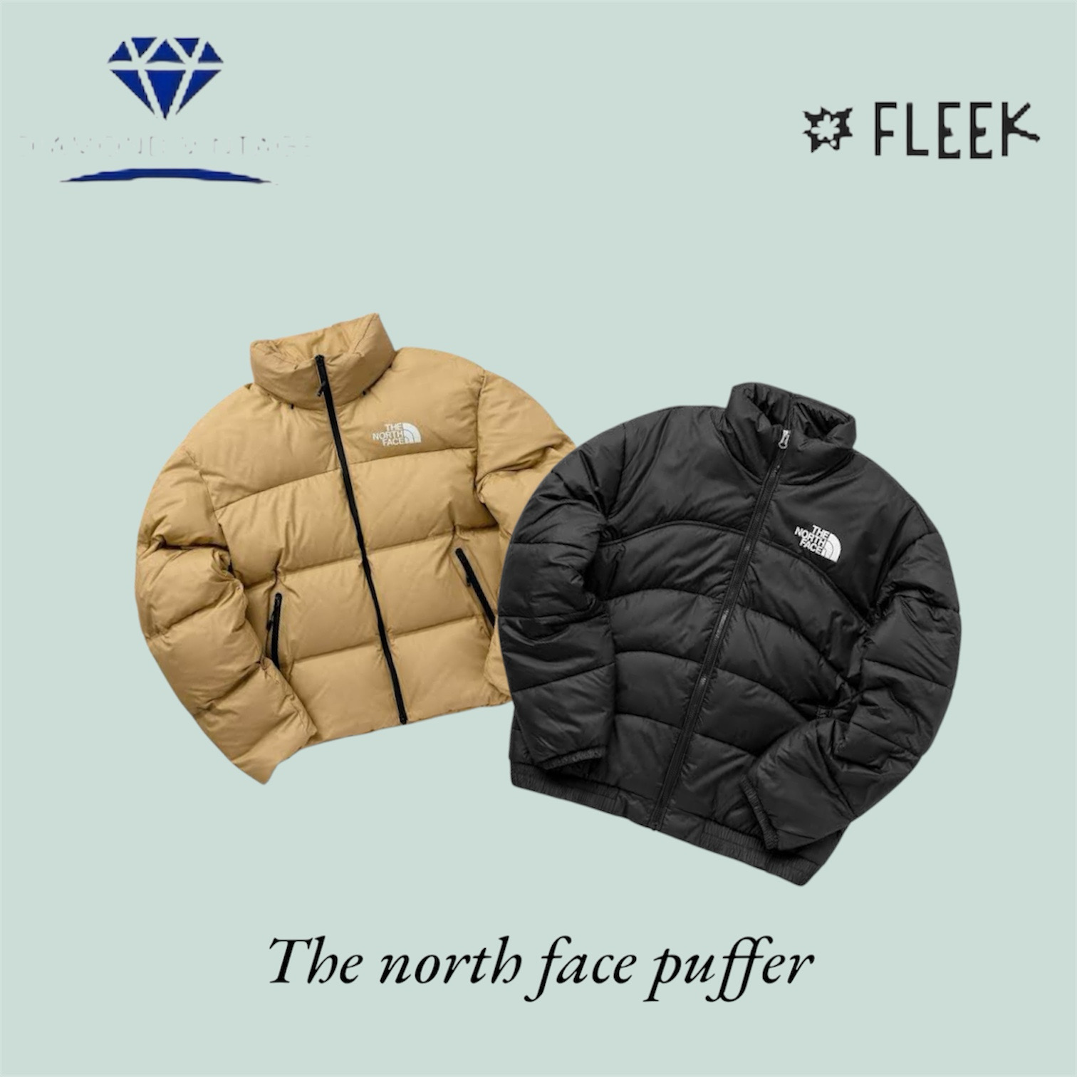 The north face puffer (DV -11-384)