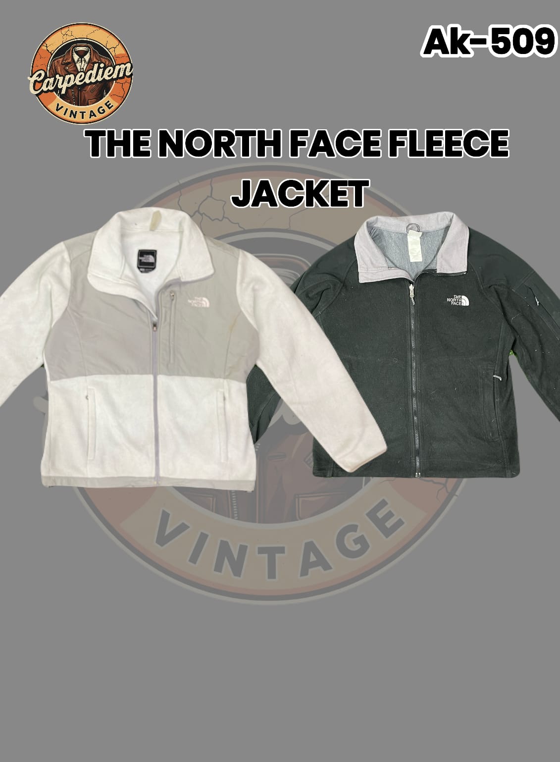 The north face Fleece jacket Ak-509