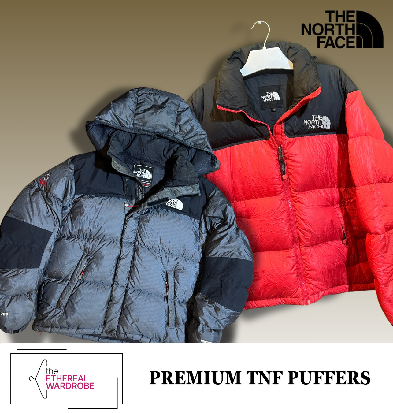 Vestes doudounes TNF Premium