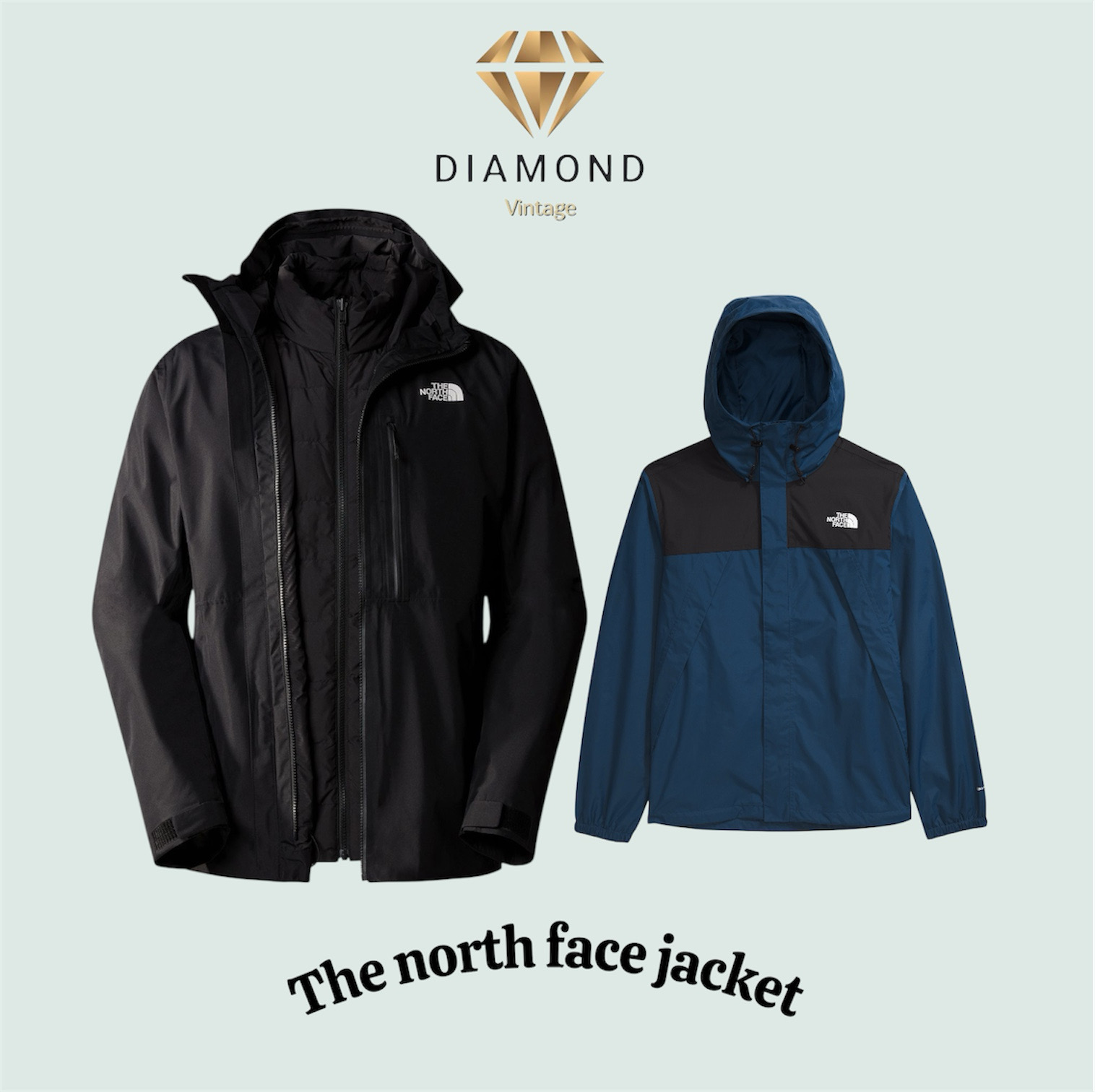 The north face windbreaker (DV -12-134)