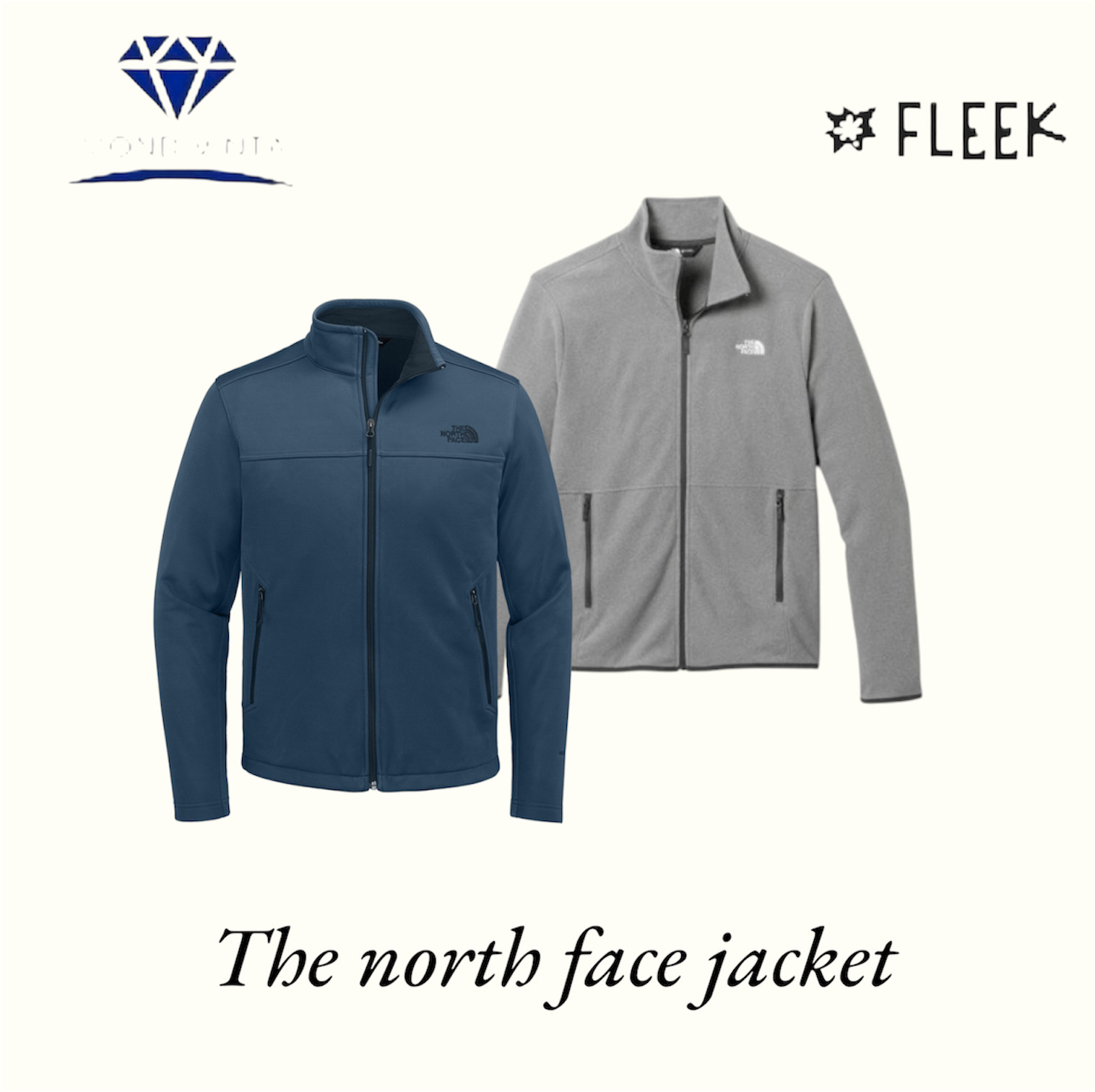 The north face jacket (DV -12-165)