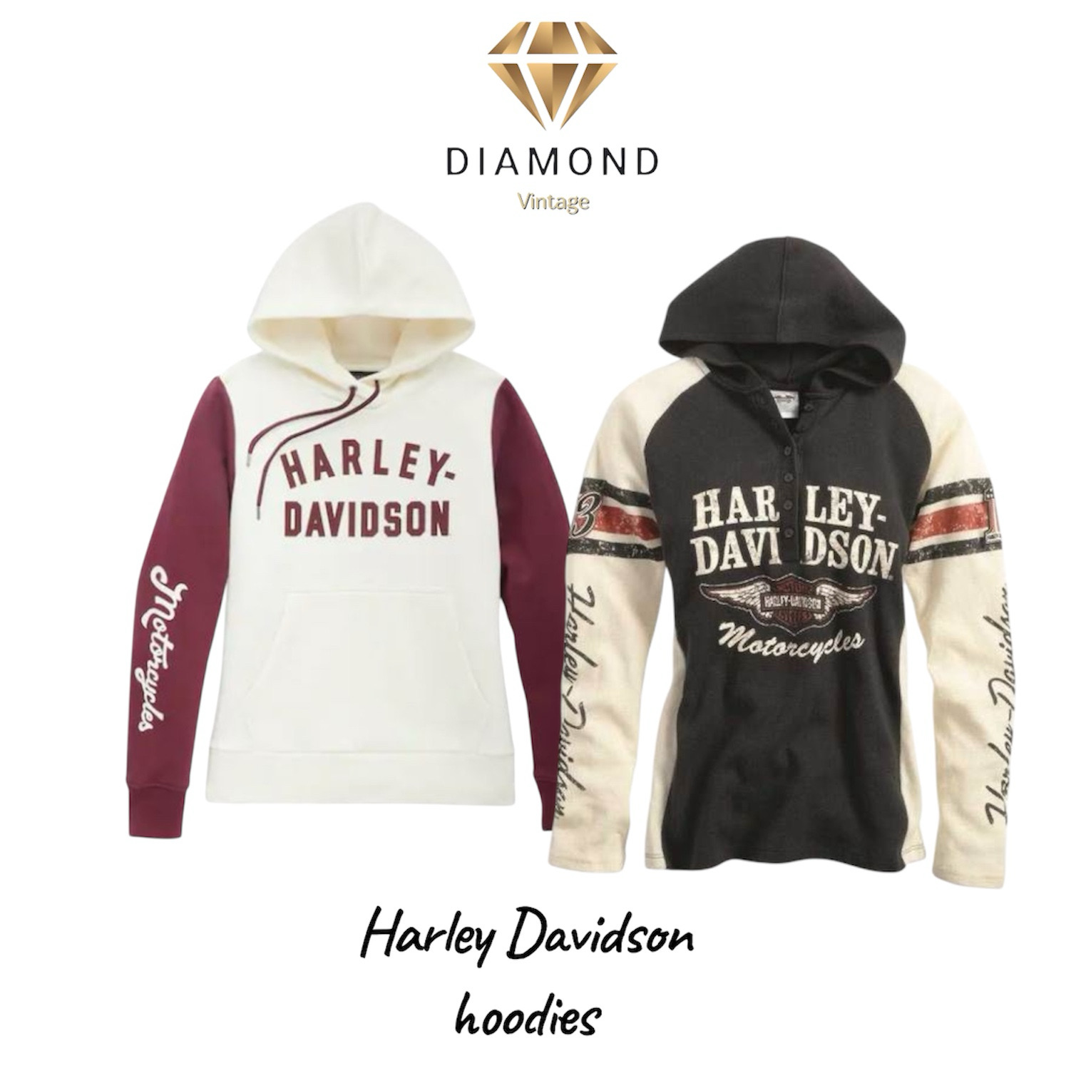Harley Davidson hoodies  (DV -12-170)