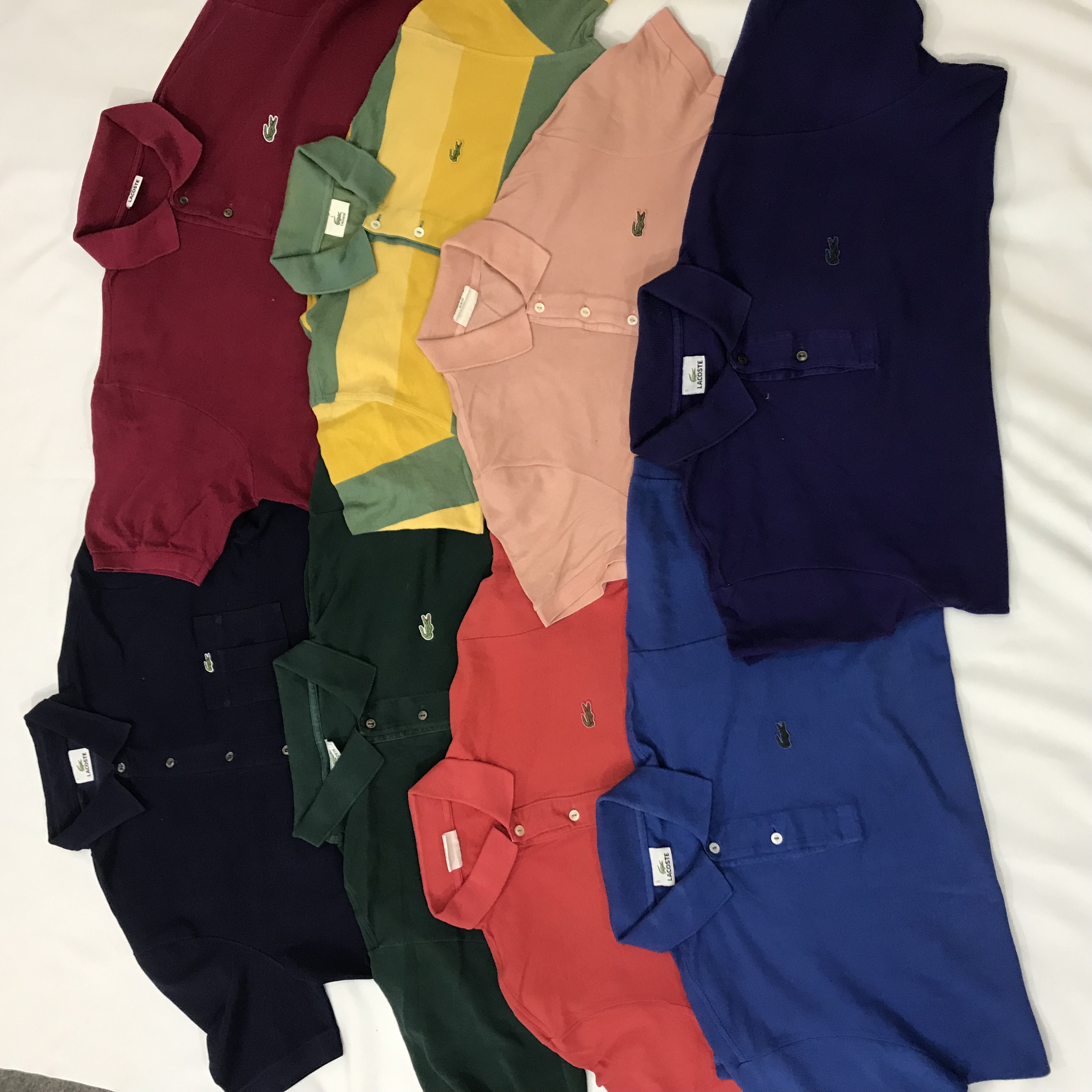 プレミアムポロ ラコステ Tシャツ