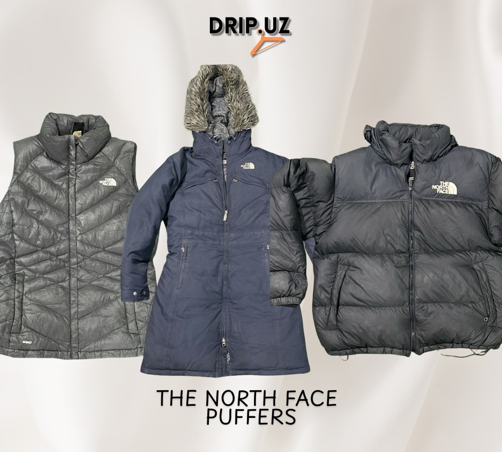 The North Face Puffers