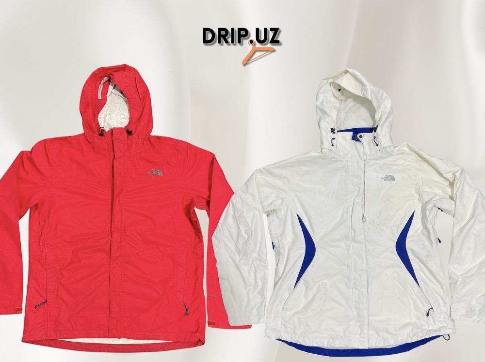 The north face windbreakers/Jackets