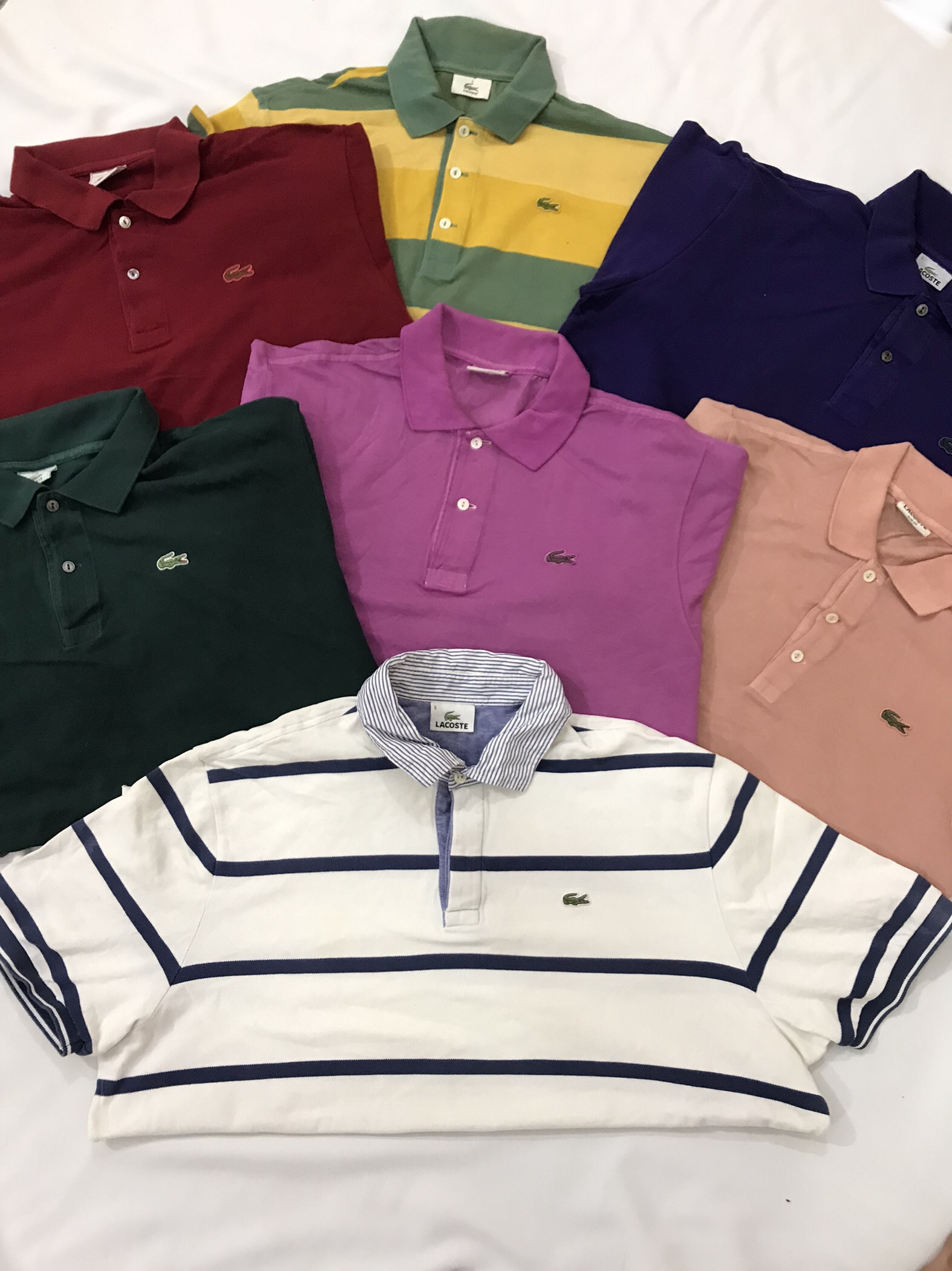 プレミアムポロ ラコステ Tシャツ