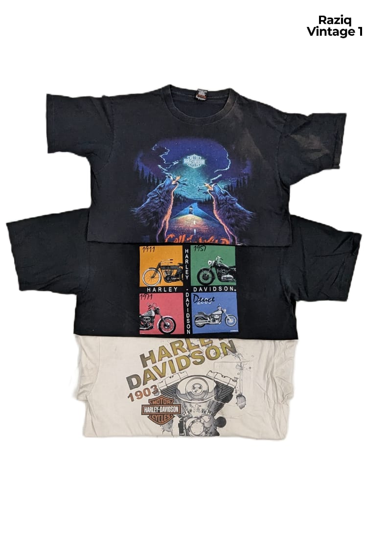 RV1317 Harley Davidson Tshirts