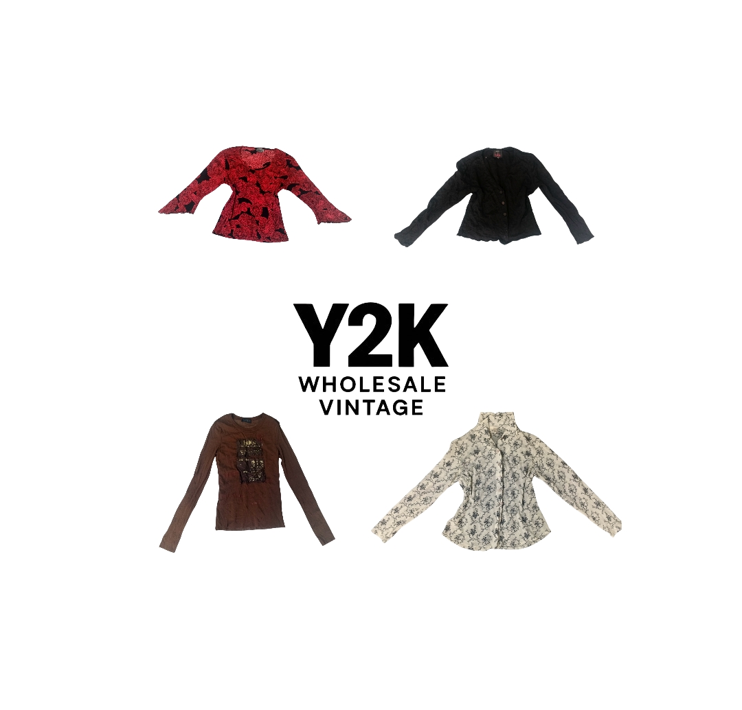 Y2K European Mesh Long sleeve Tops (YWV47)