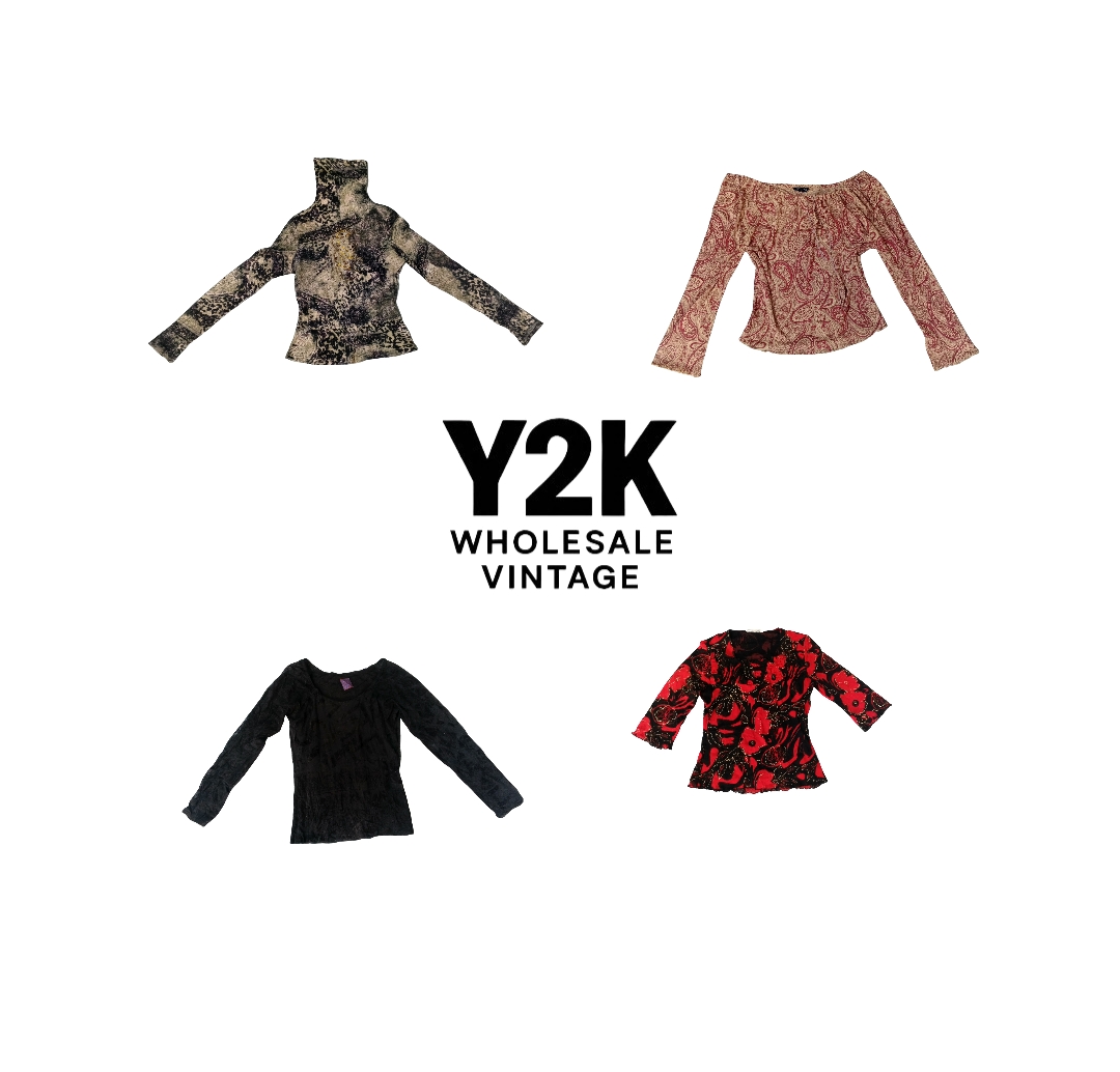 Y2K European Mesh Long sleeve Tops (YWV53)