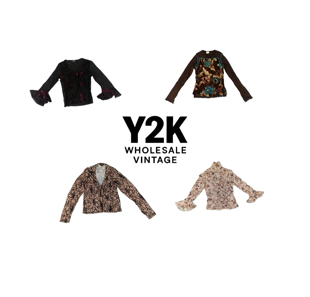 Y2K European Mesh Long sleeve Tops (YWV56)