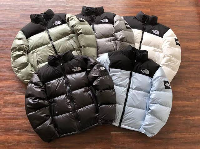 Jaquetas de plumas The North Face