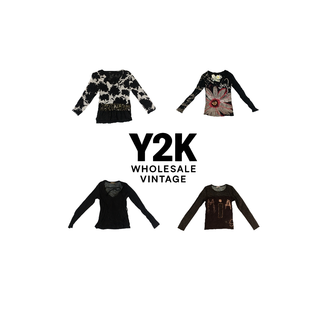 Y2K European Mesh Long sleeve Tops (YWV65)