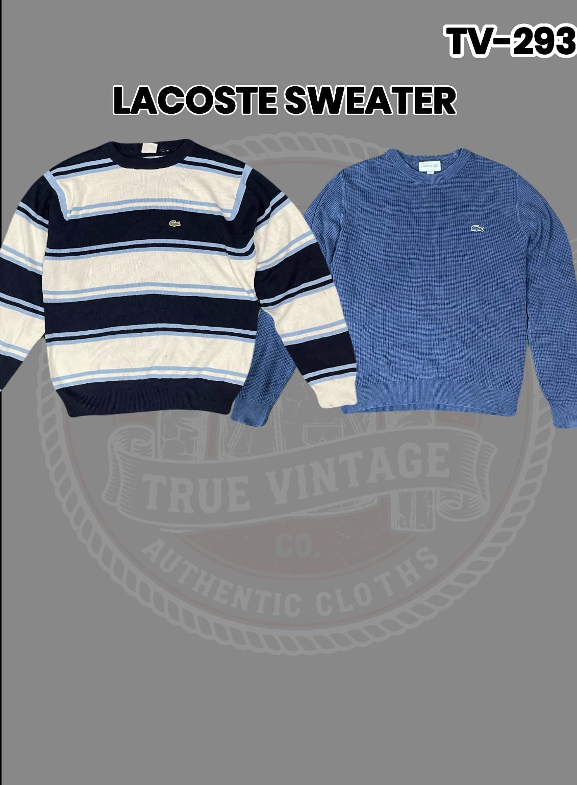 ラコステ セーター Tv-293