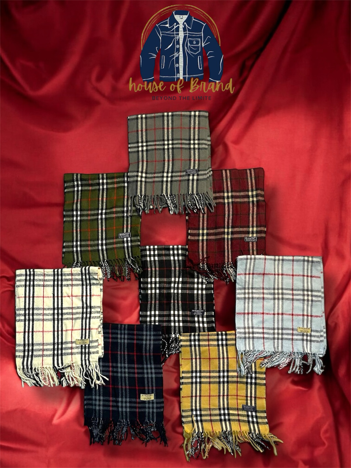 Burberry Scarves