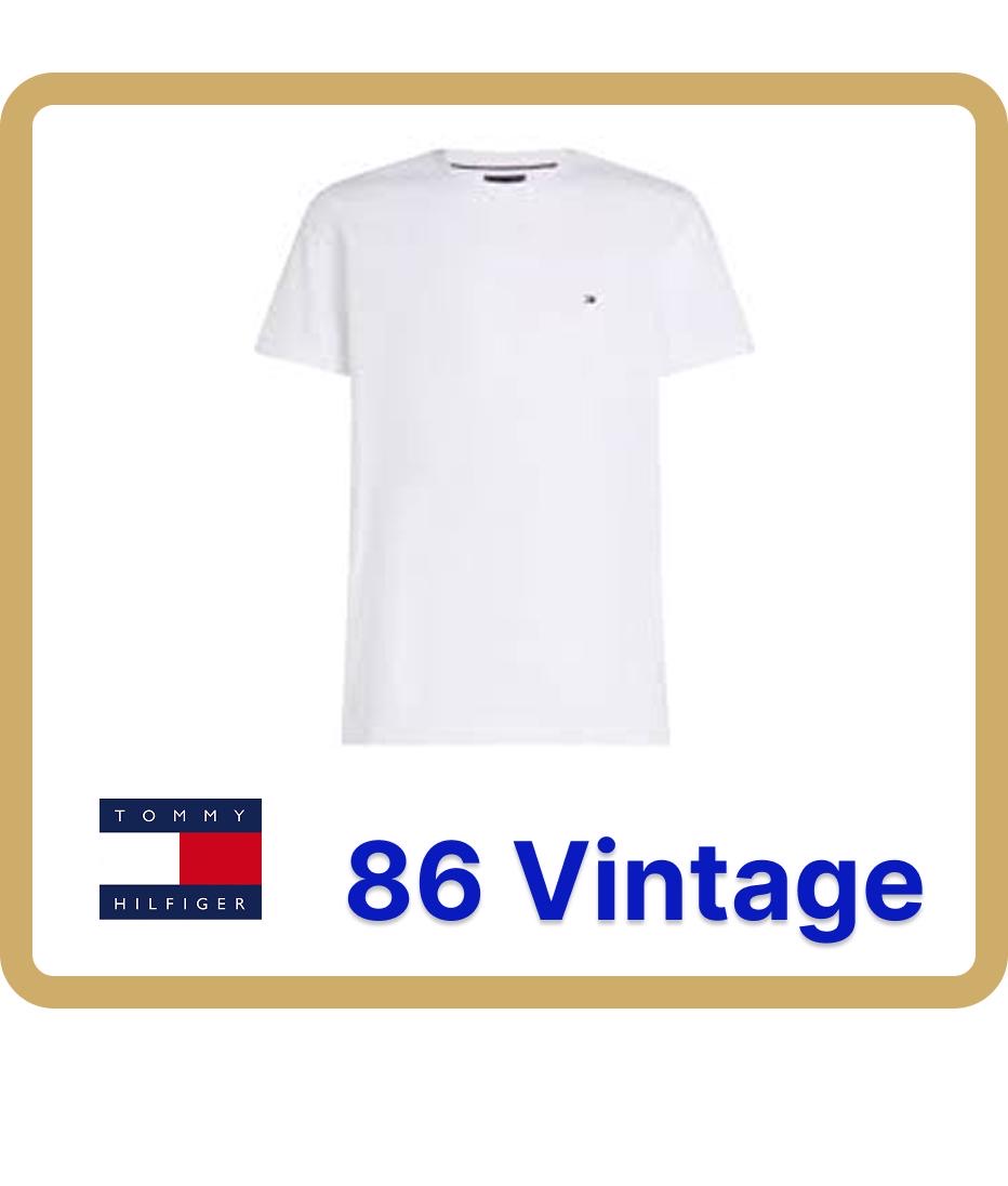 Camisas de Tommy Hilfiger (059)