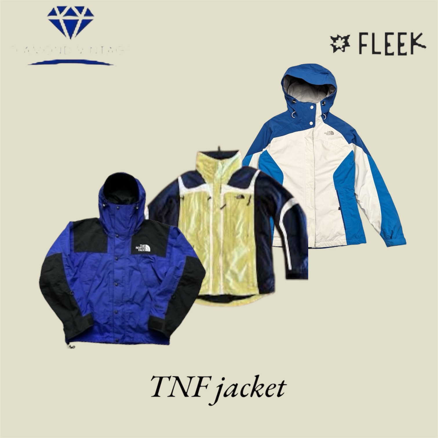 The North Face Jackets (DV -12-454)
