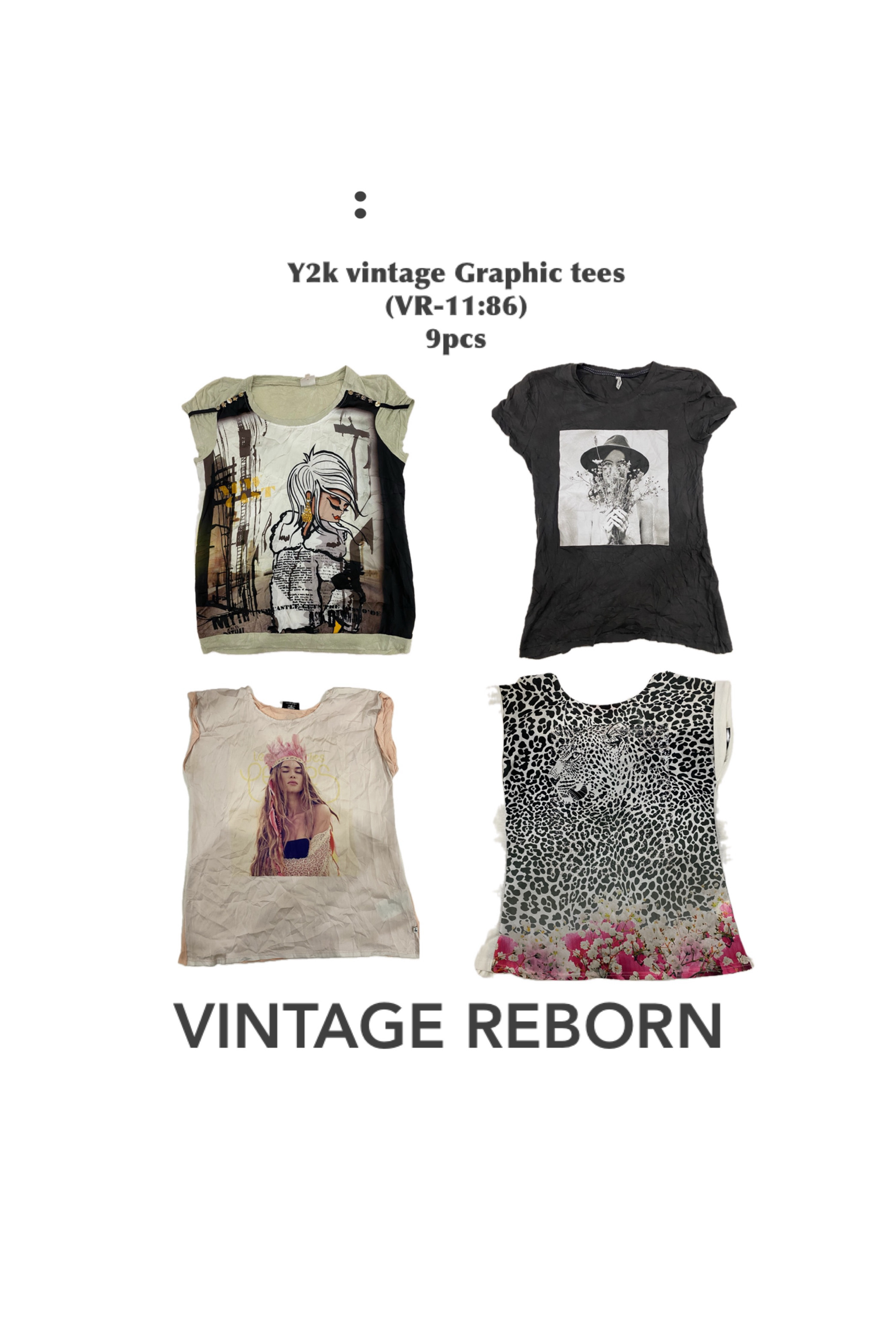Y2k ビンテージグラフィック T シャツ (VR-11:86)