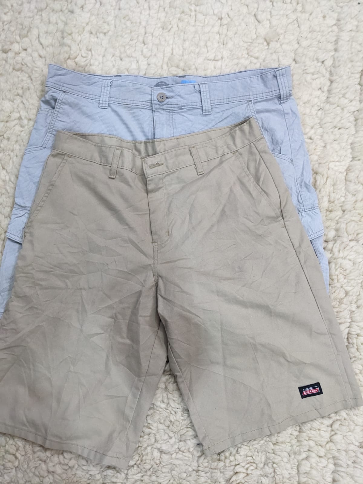 Dickies Shorts Mix
