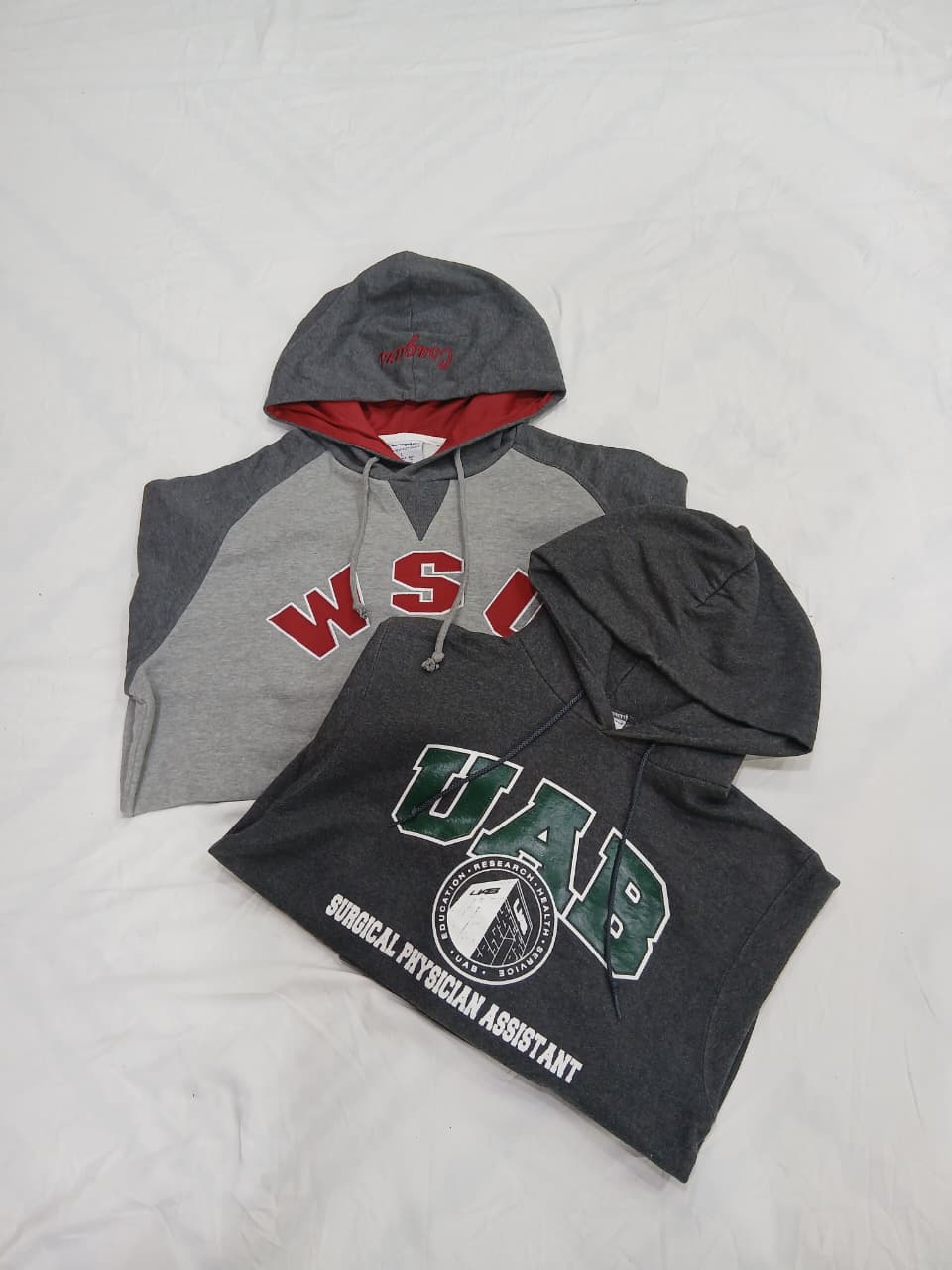 ZV1310 Champion Hoodie