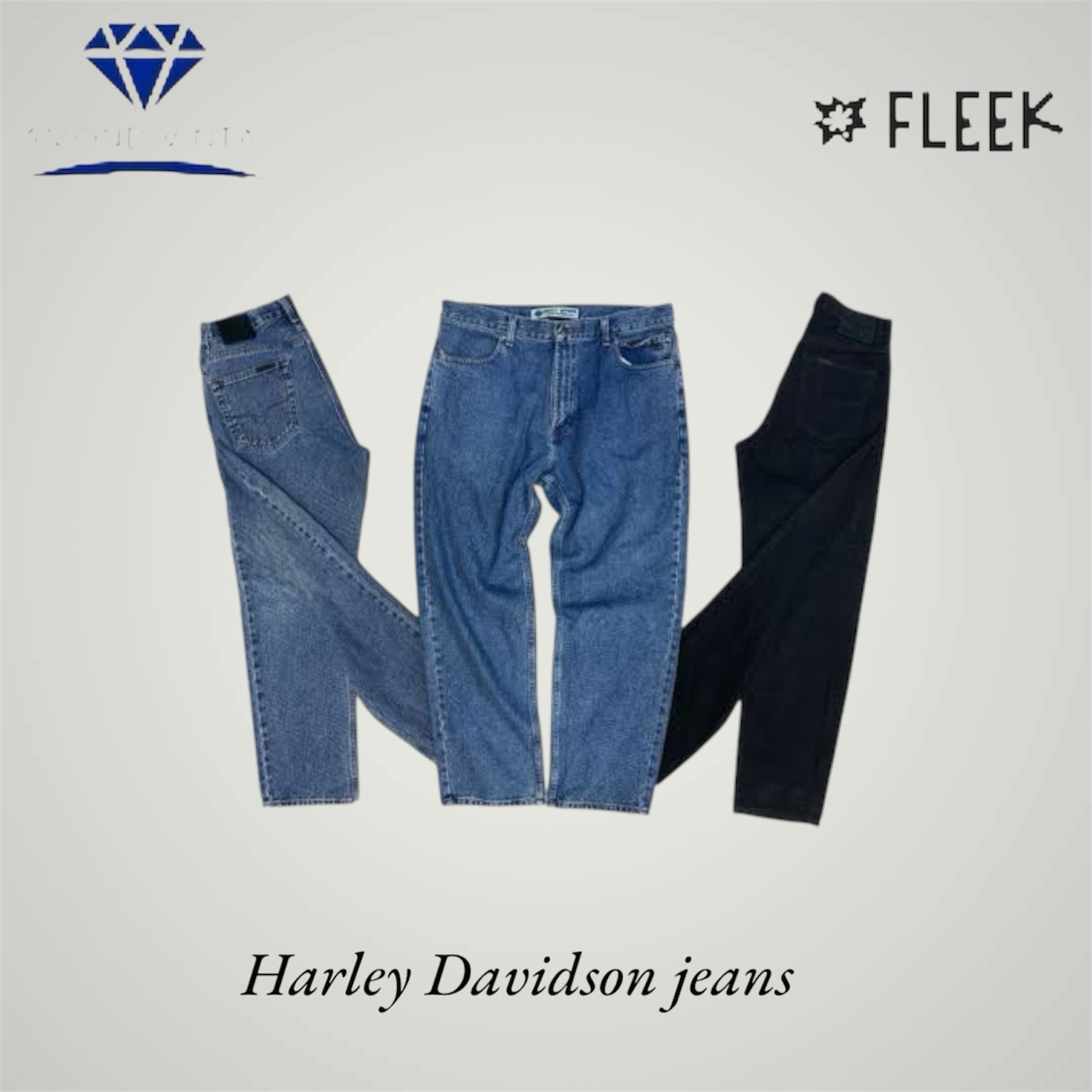 Harley Davidson jeans (DV -12-573)