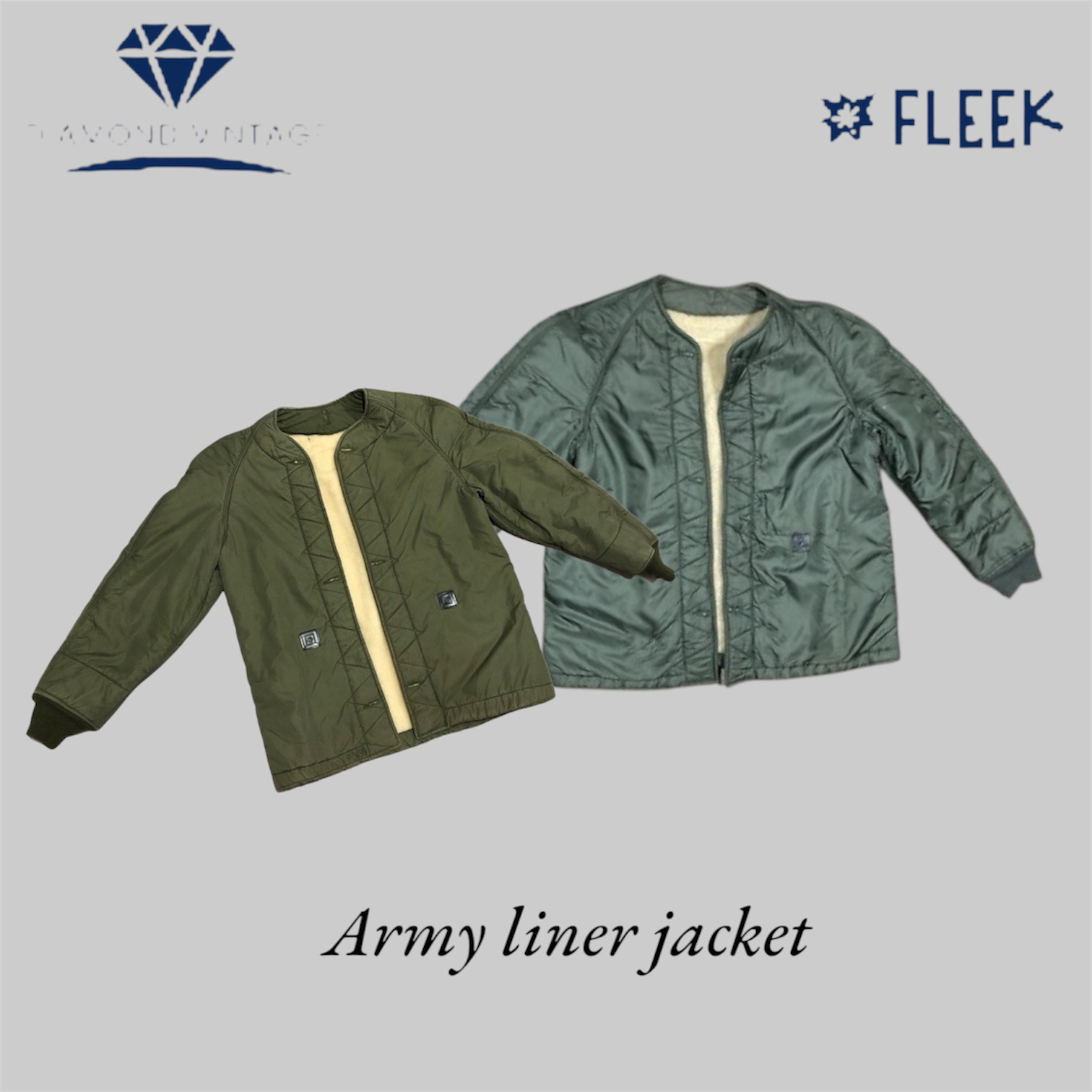 Green Army Liner / Aster (DV -12-574)