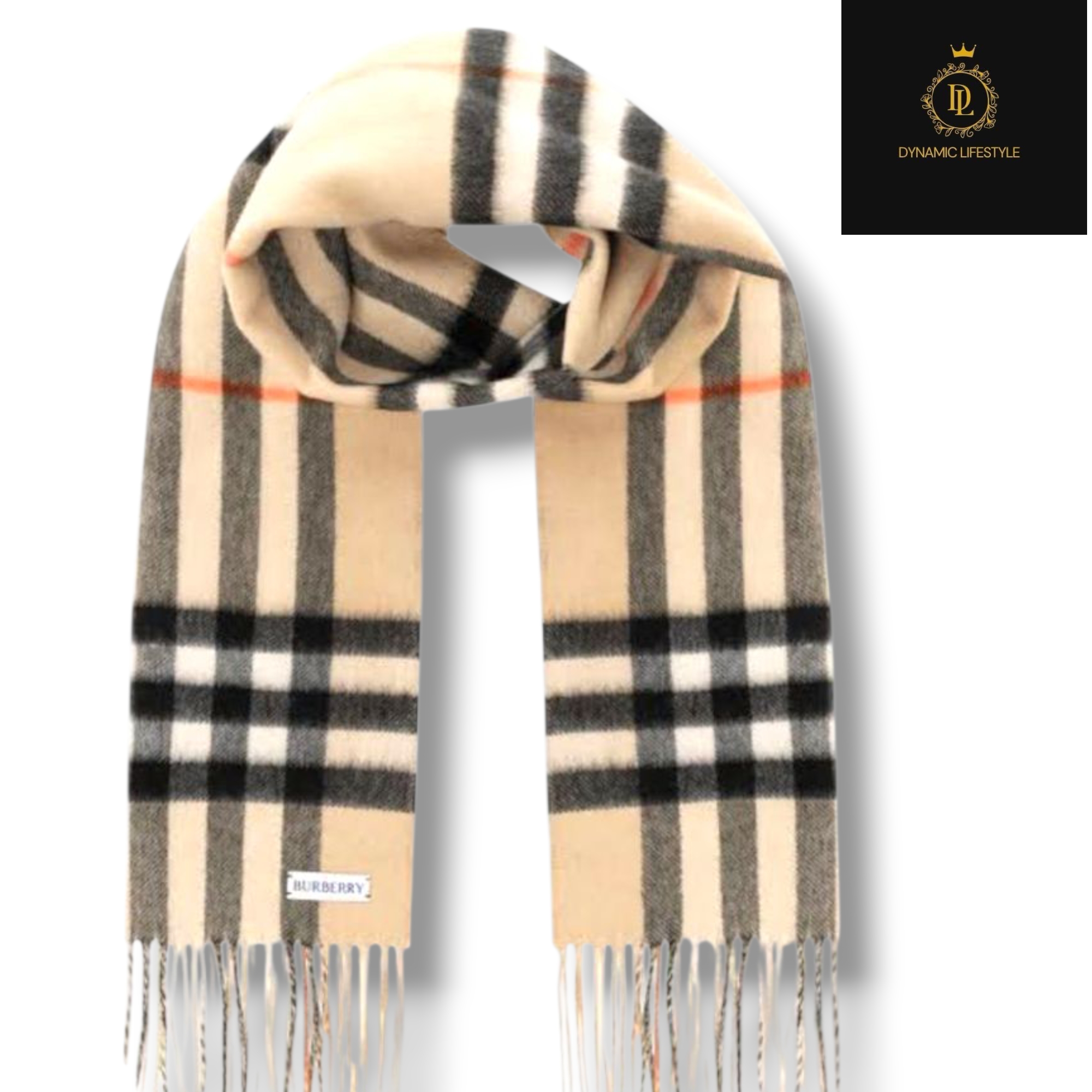 Burberry Scarves