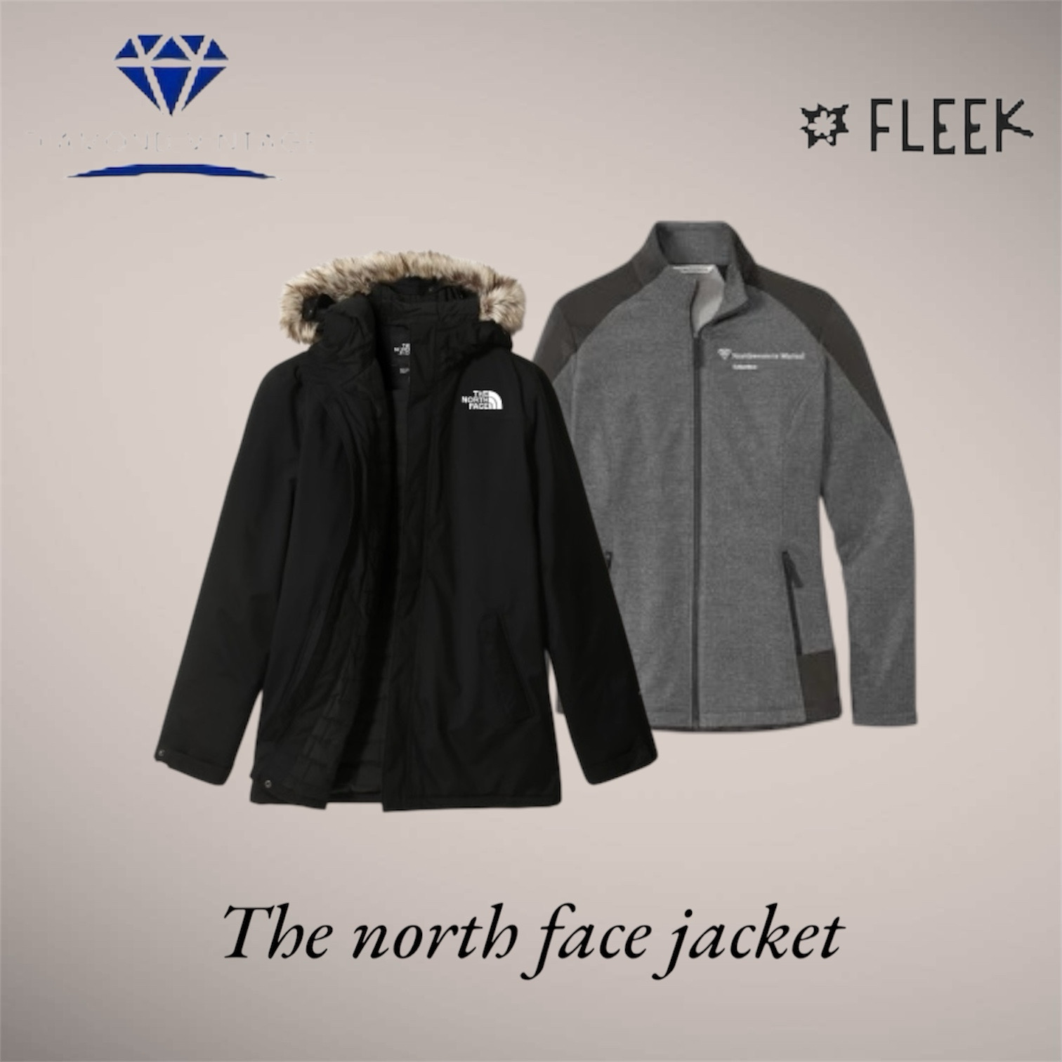 The north face Jacket  (DV -12-586)